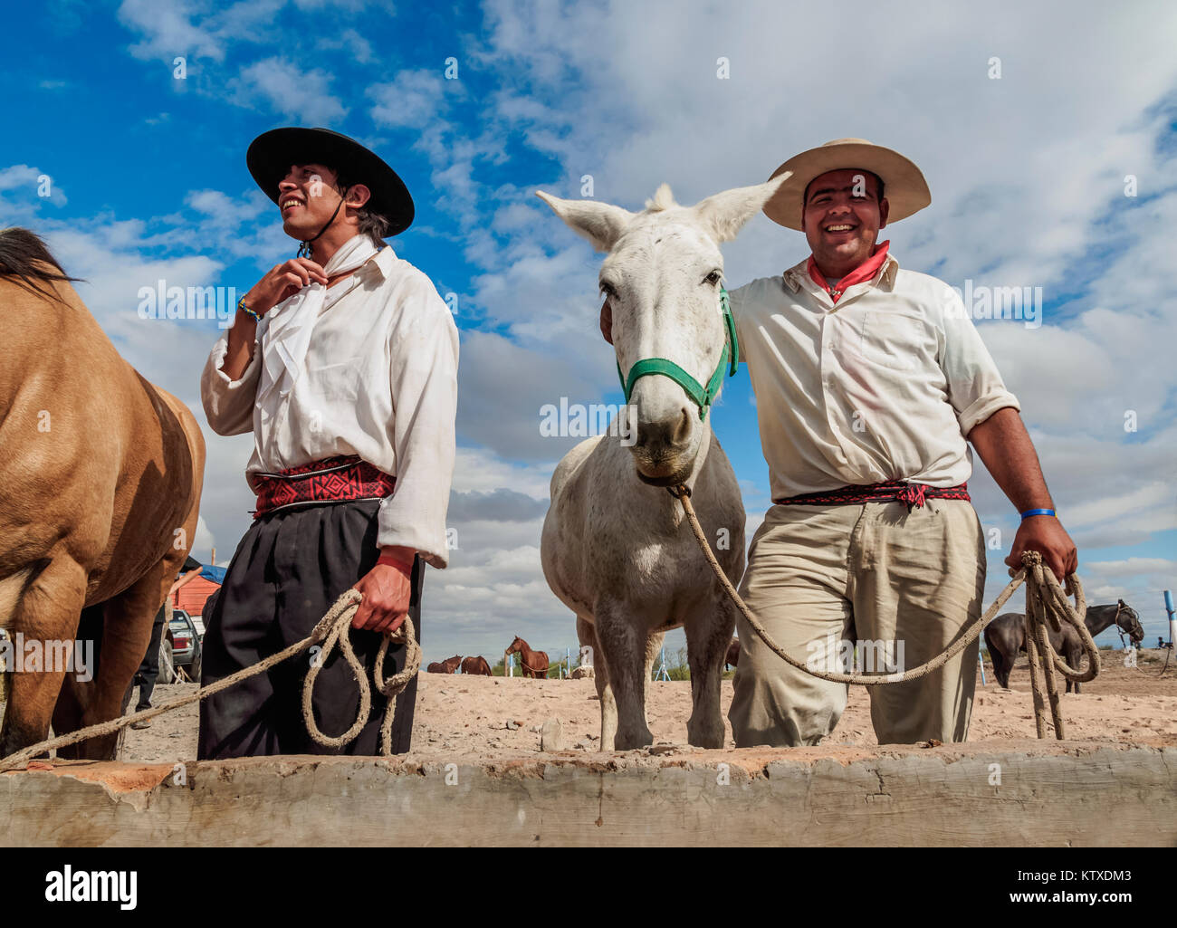 Gauchos mit Pferden, Vallecito, Provinz San Juan, Argentinien, Südamerika Stockfoto
