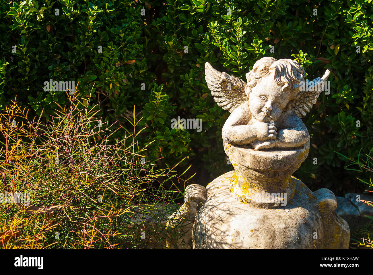 Die Skulptur von Engel Nahaufnahme auf dem Oakland Cemetery in sonnigen Herbsttag, Atlanta, USA Stockfoto