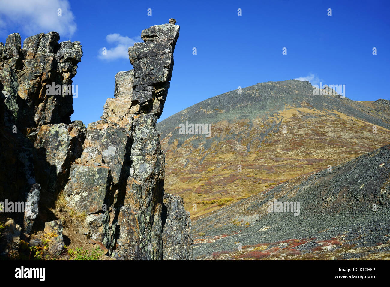 Felsen, Türme entlang der goldenen Seiten Wanderweg, Herbst, Tombstone Territorial Park, Yukon, Kanada Stockfoto