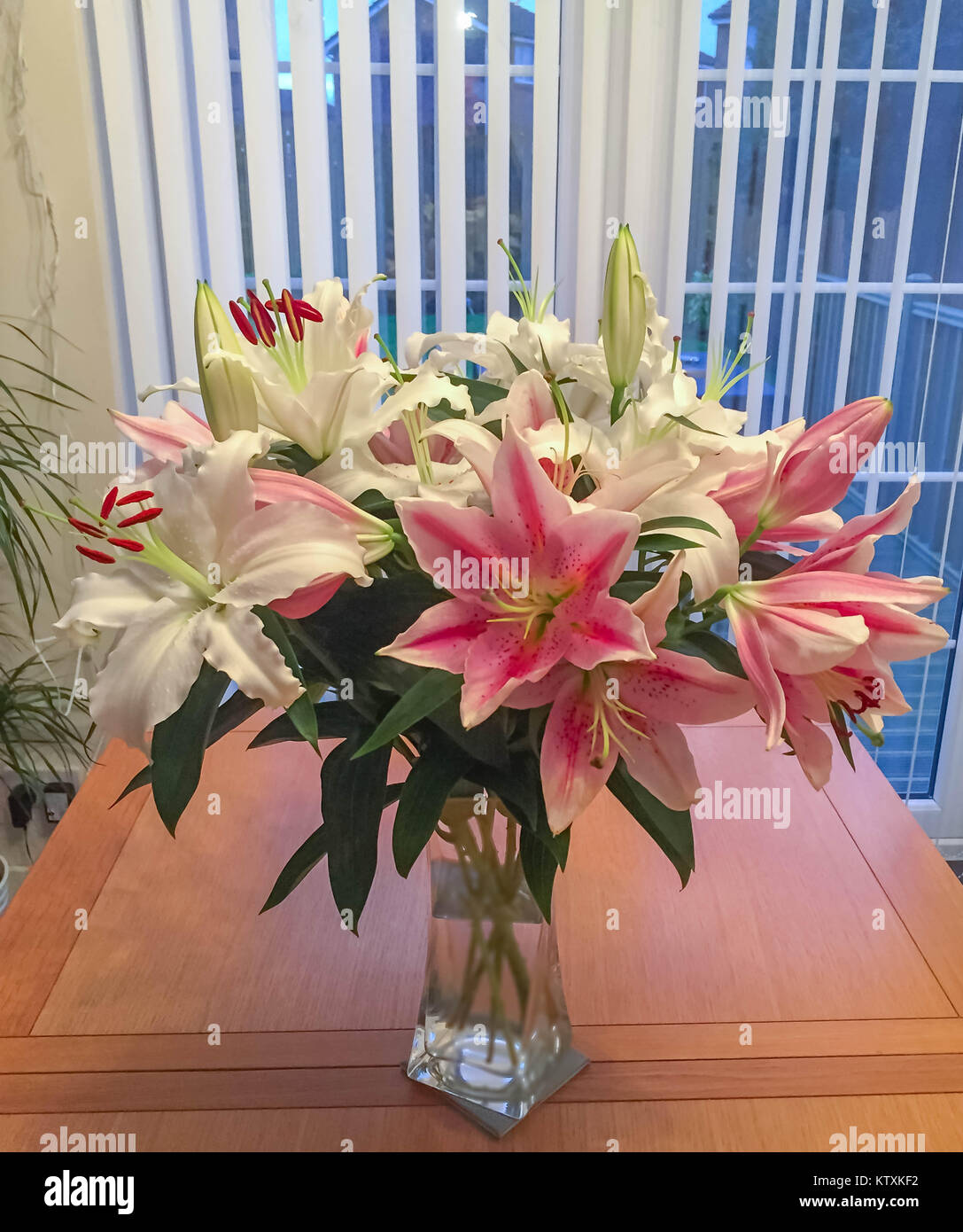 Ein schöner Blumenstrauß aus Lilien mit rosa und weißen Blüten in einem engen oval geformt. Stockfoto
