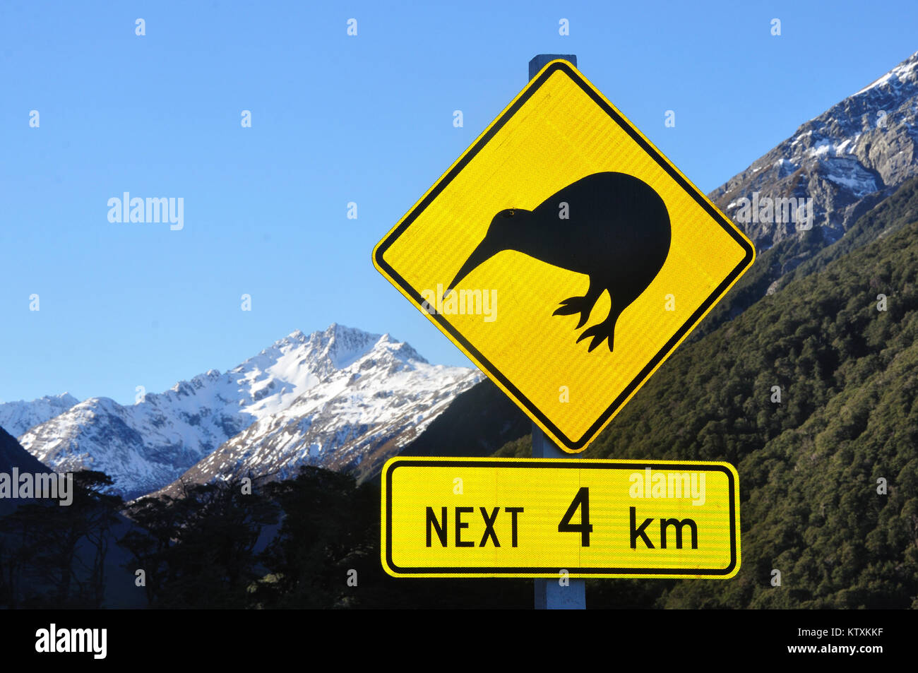 Verkehrszeichen Achtung der Kiwis in der Nähe von Arthurs Pass, Südinsel, Neuseeland Stockfoto