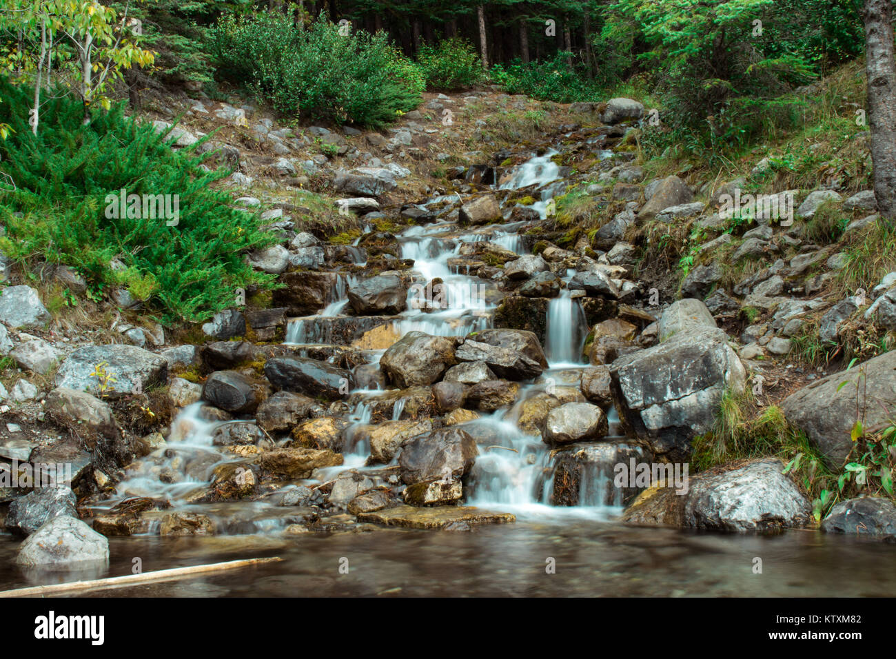 Berg Wasserfall fließt über grosse Felsen in einem grünen Wald Stockfoto