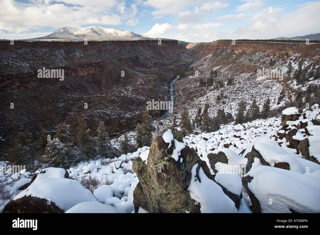 Der Rio Grande Wild und Scenic River fließt durch den verschneiten Rocky Mountains 9. Februar in New York 2010. Stockfoto