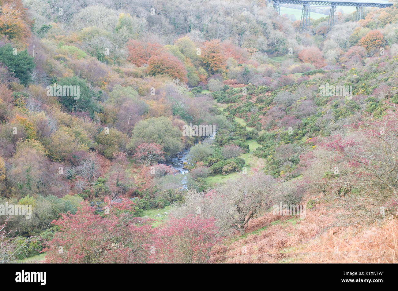 West Okement River Valley im Herbst Stockfoto