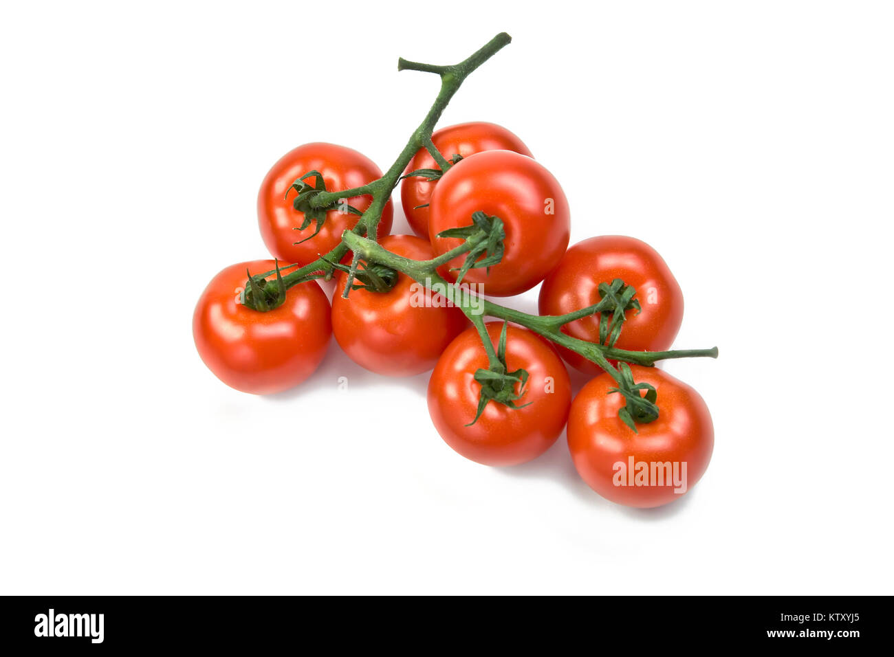 Tomaten auf der Rebe auf weißem Hintergrund Stockfoto