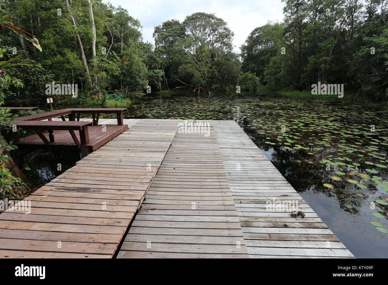 Die sirindhorn Study Center hilft bei der Erhaltung der Tottori tropical peat Swamp, der größte Bereich in Thailand. Stockfoto