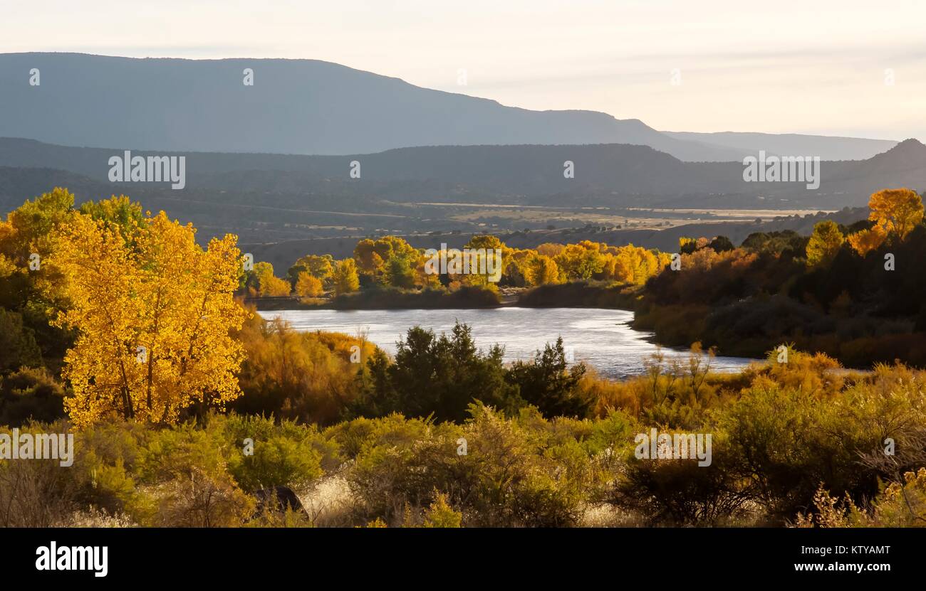Herbst Laub umgibt die Grüne Freizeit Fluss in den Desolation Canyon Wilderness Studie Oktober 14, 2016 in Utah. Stockfoto