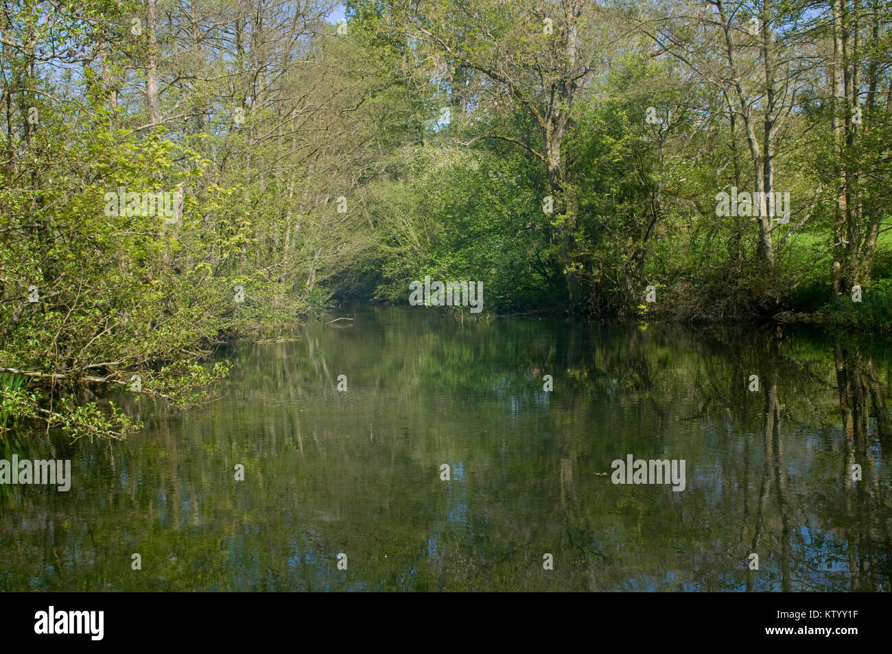 Ruhigen Teich auf Dartmoor in Devon Stockfoto
