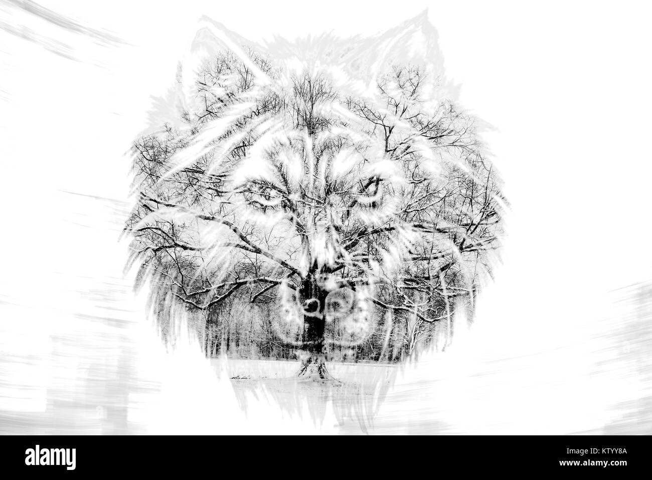 Baum des Lebens und der Wolf Double Exposure Stockfoto