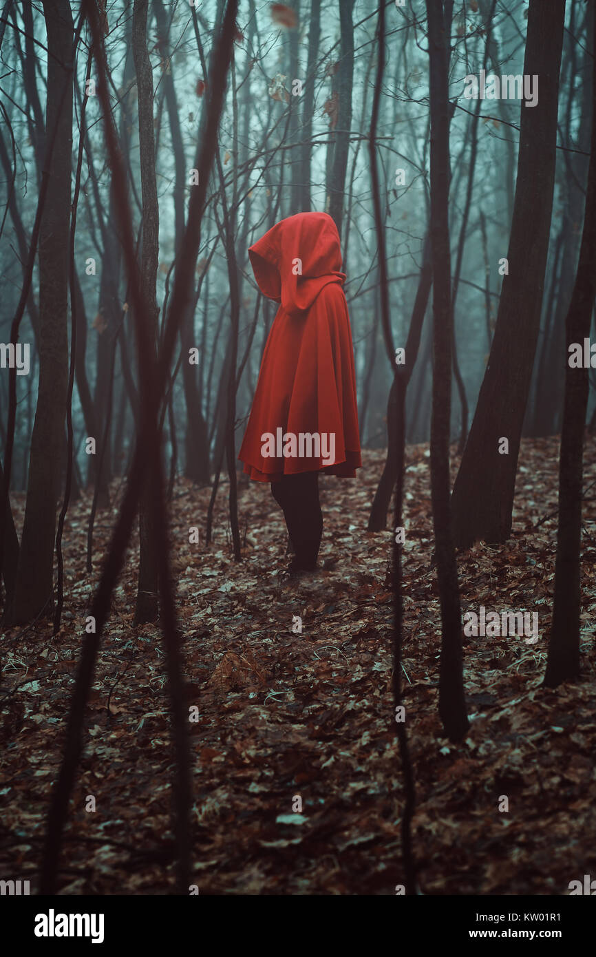 Geheimnisvolle Gestalt im nebligen Wald. Rot mit Kapuze Stockfoto