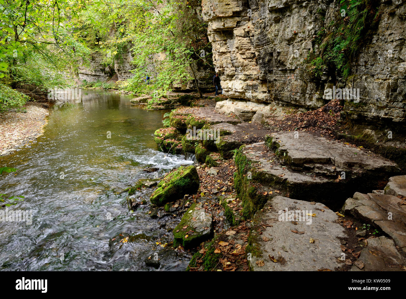 Schwarzwald, Naturdenkmal Wutachschlucht, Wutachaustritt, Schwarzwald, Naturdenkmal Wutachschlucht Stockfoto