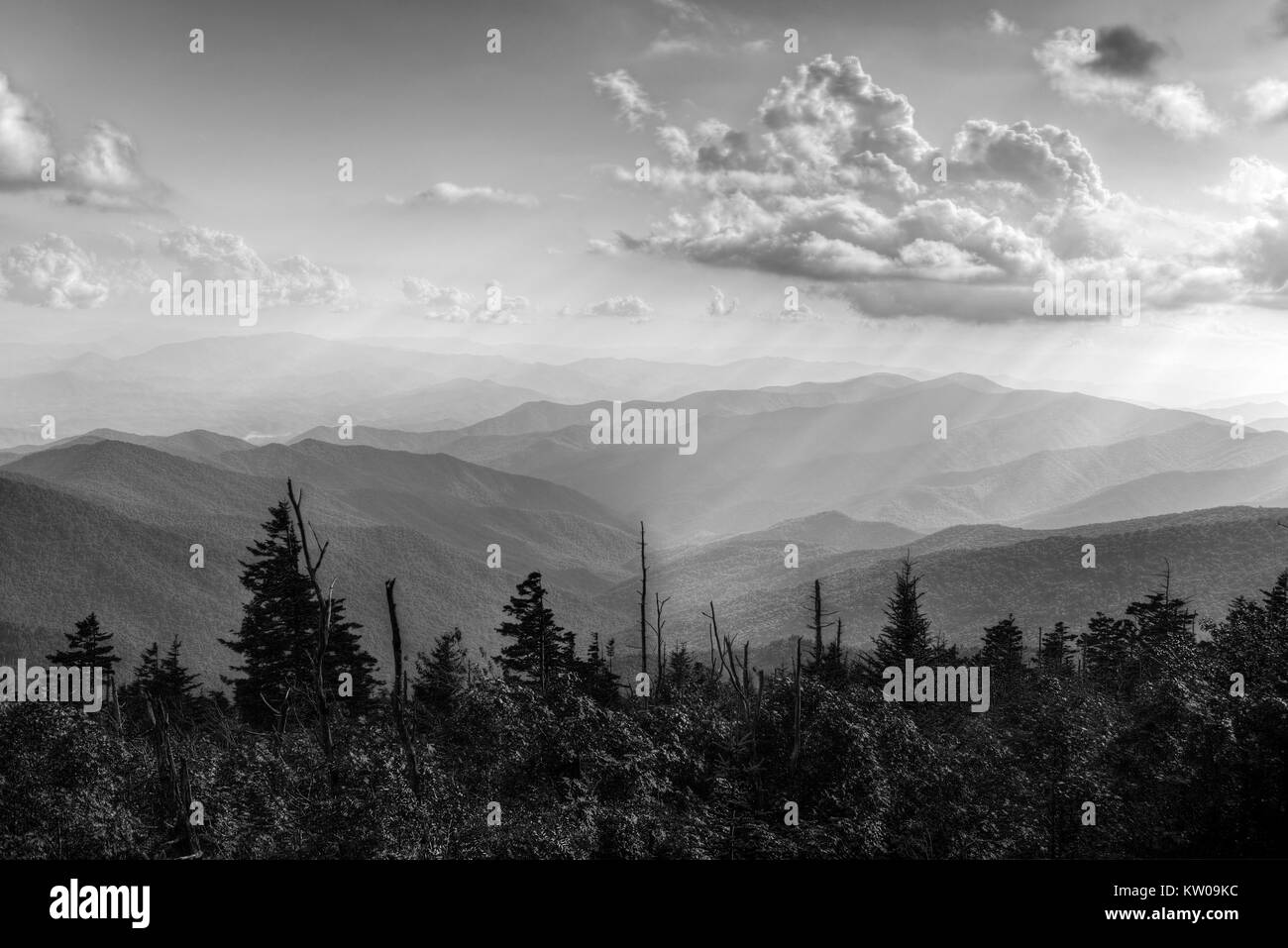 Gott strahlen glänzen auf das Alte Land in den Appalachen der Great Smoky Mountains National Park von Clingman's Dome, in North Carolina, USA. Stockfoto