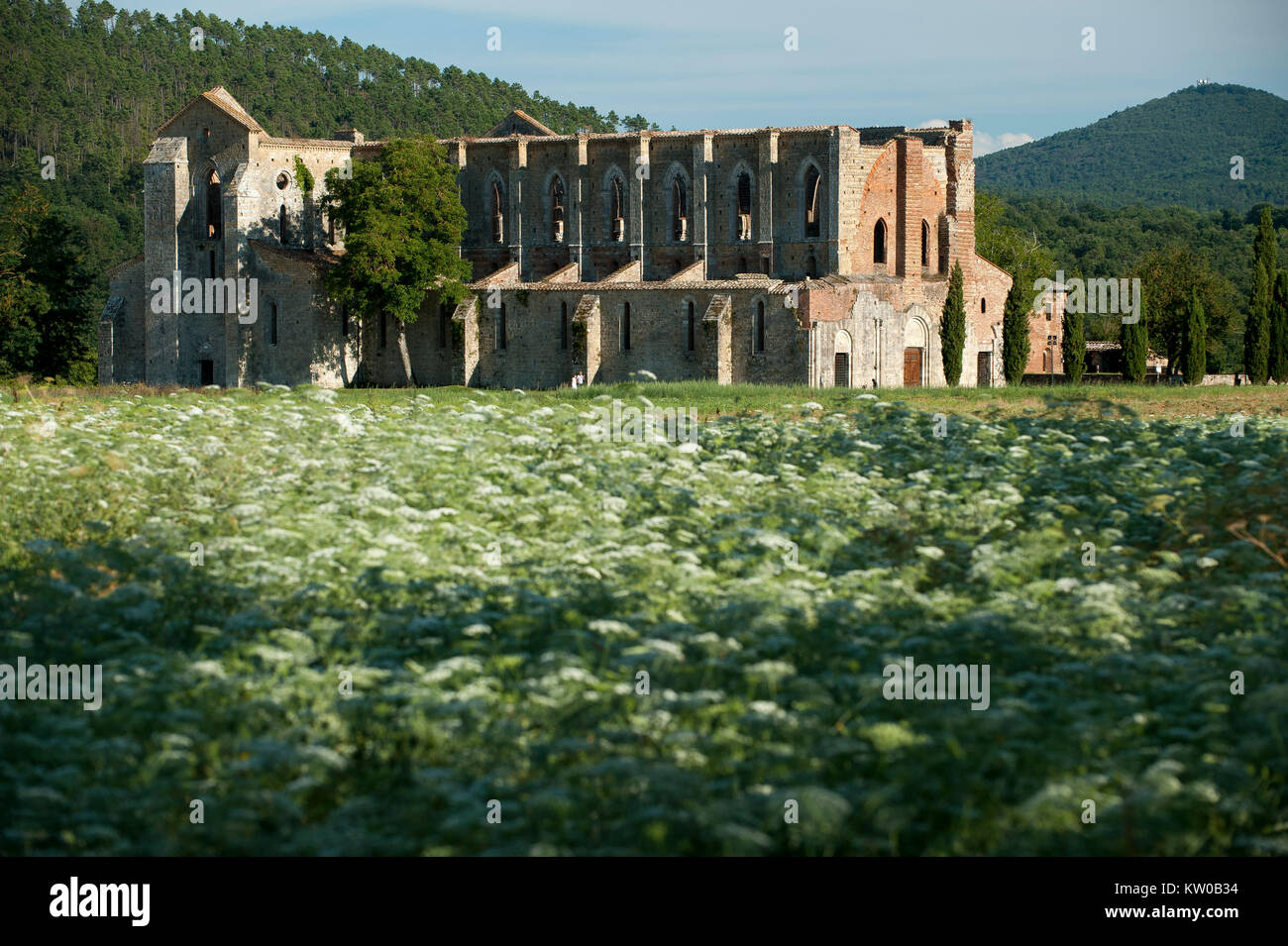 Ruiniert italienischen Gotik Abbazia di San Galgano (Abtei von San