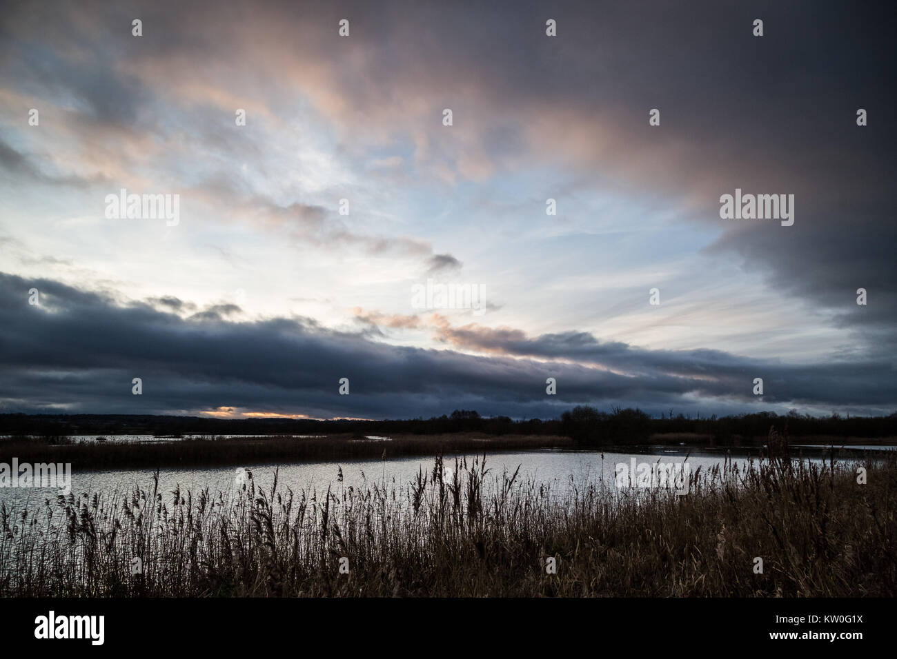 Abendlicht über Shapwick Heide National Nature Reserve in Somerset, England. Stockfoto