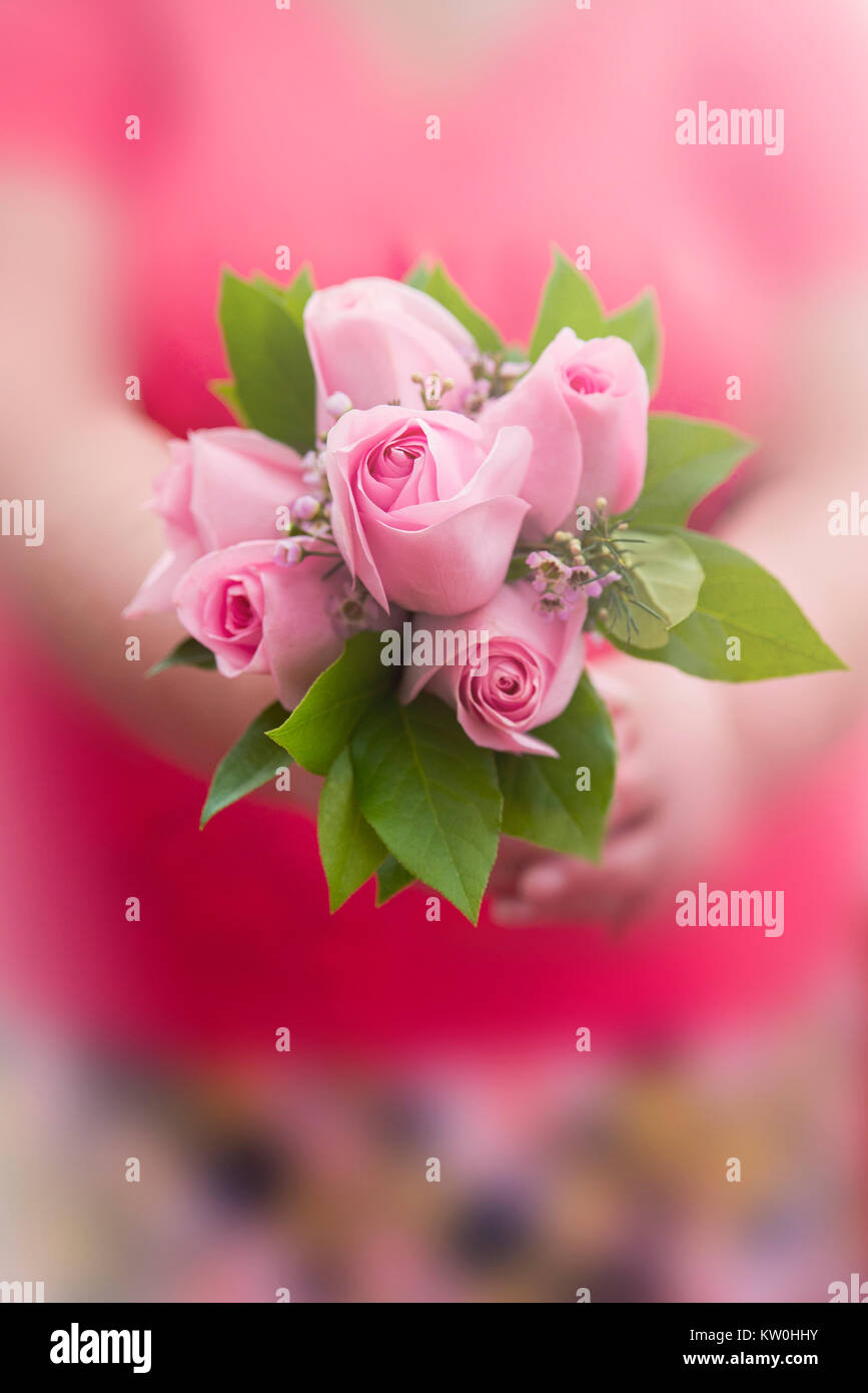 Rose Bouquet mit unscharf Hintergrund gehalten Stockfoto