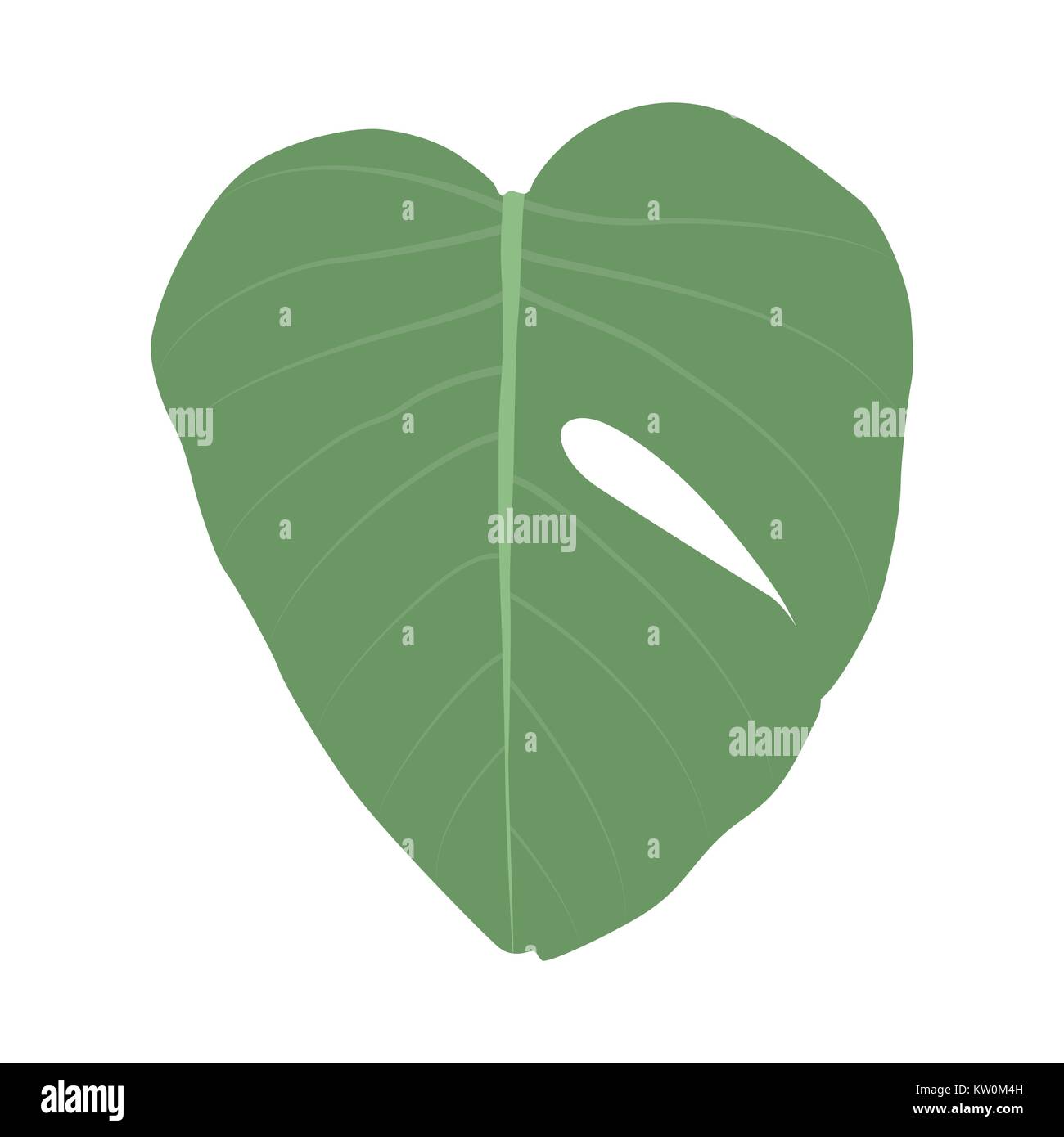 Bunte naturalistischen grüne Blätter am Zweig. Vektor Illustratio Stock Vektor