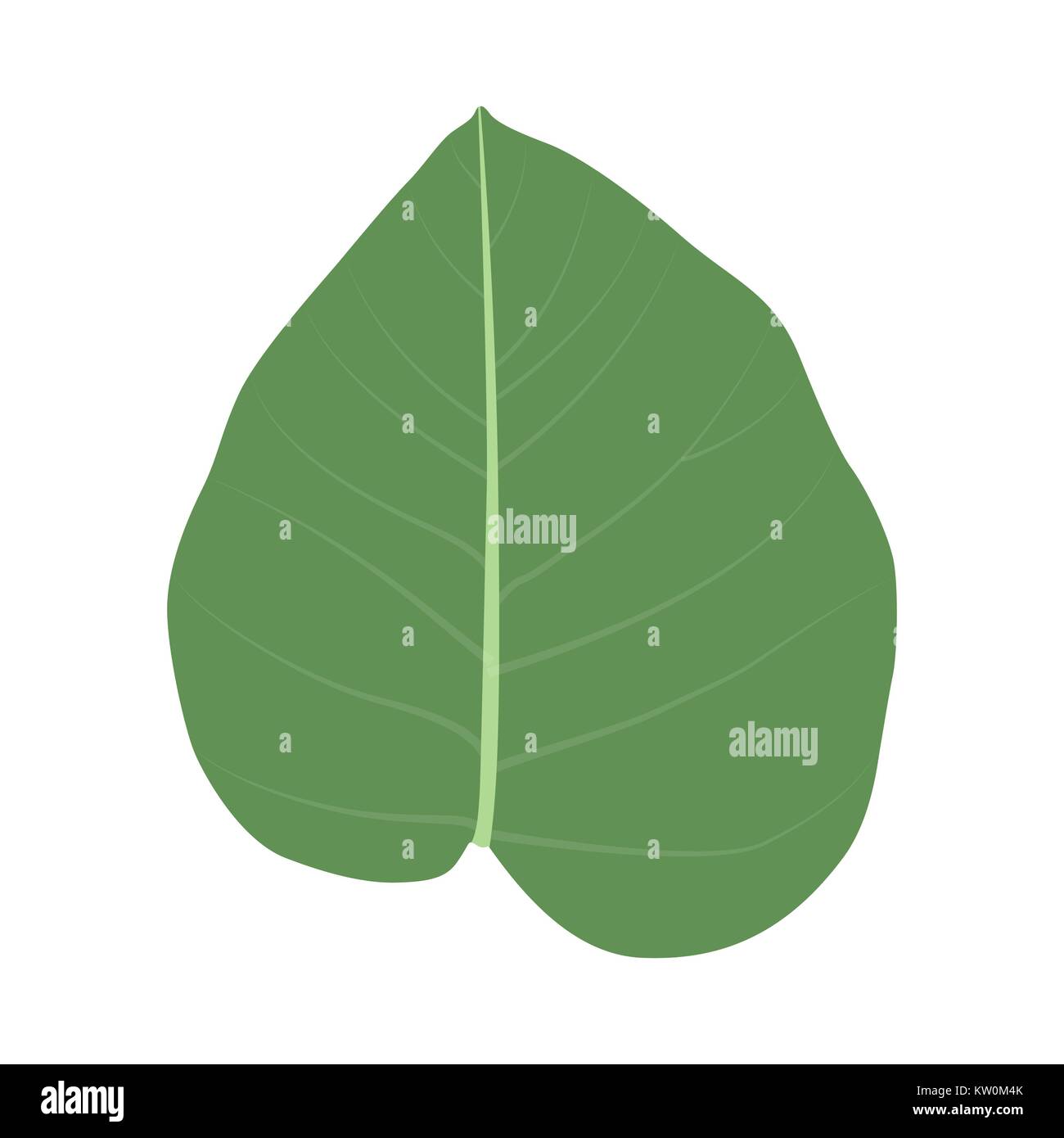 Bunte naturalistischen grüne Blätter am Zweig. Vektor Illustratio Stock Vektor