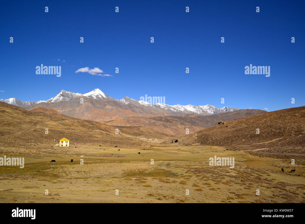 Eine wunderschöne Aussicht auf das Dorf Tashigang, Himachal Pradesh Stockfoto