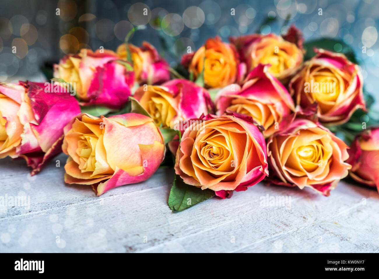 Schönen Haufen von zwei farbigen Rosen auf dem Holz- Hintergrund Stockfoto