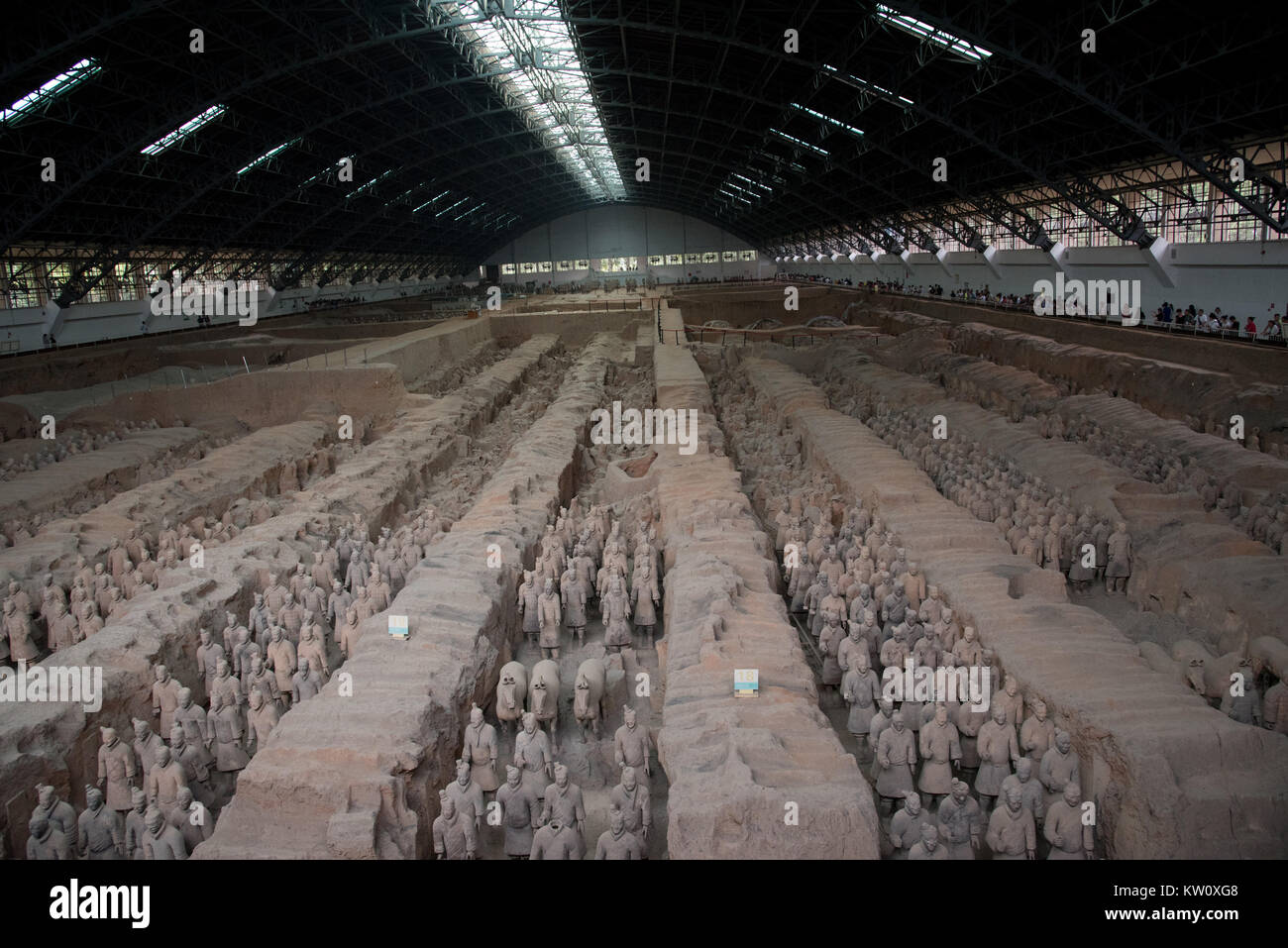 Die Qin Grab Terracotta Krieger und Pferde, Xi'an, China Stockfoto