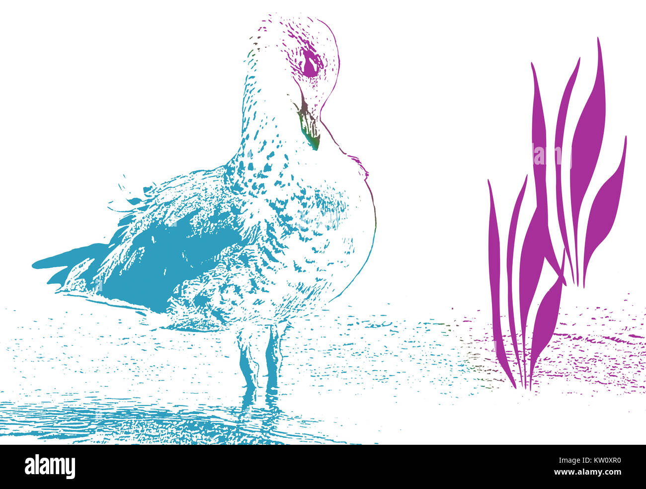 Abstrakte Tuschezeichnung von Vogel ihr Gefieder putzen Stockfoto