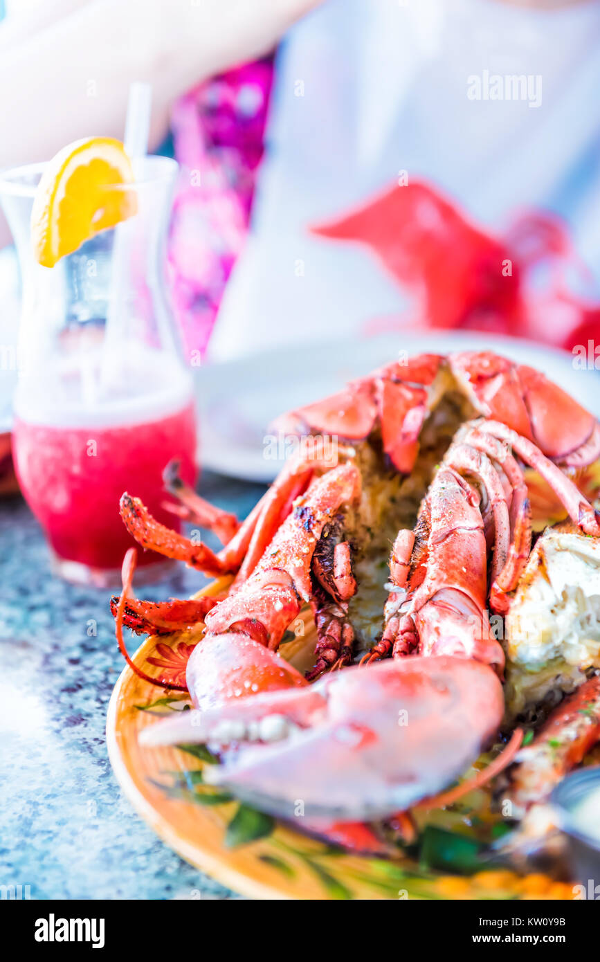 Makro Nahaufnahme des ganzen Hummer in der Schale und Platte mit Meeresfrüchten auf Platte mit Rot oder Rosa alkoholisches Getränk Stockfoto