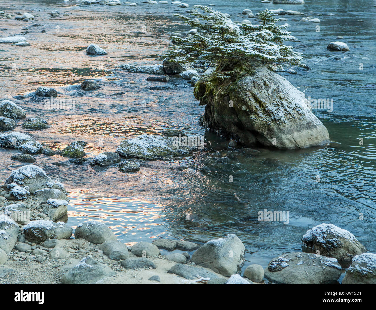 Baum, der aus einem Felsen im Chilkoot River in der Nähe von haines Alaska mit Abendrot im Wasser spiegelt. Stockfoto