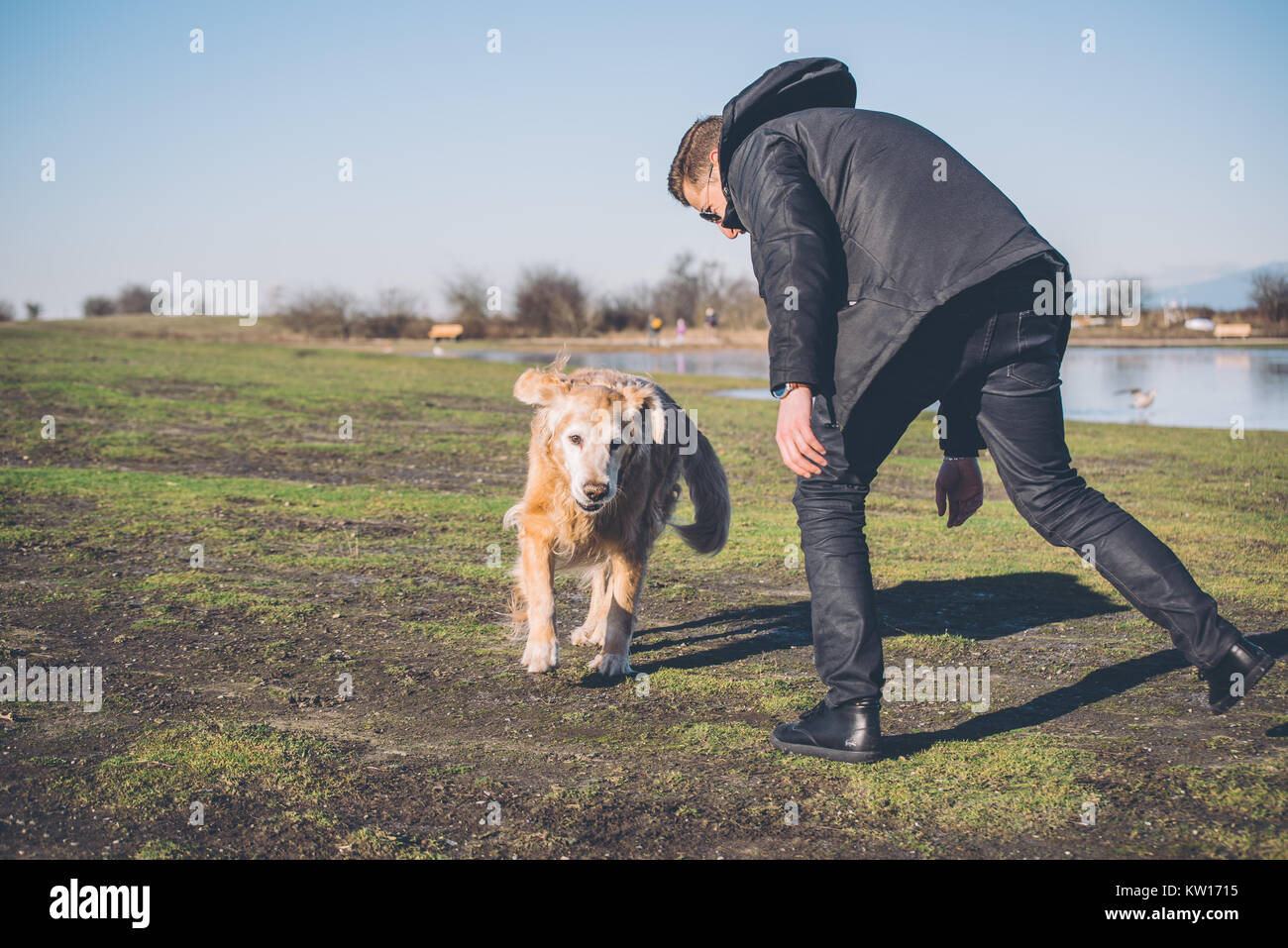 Männliche spielen mit Golden Retriever Hund Stockfoto