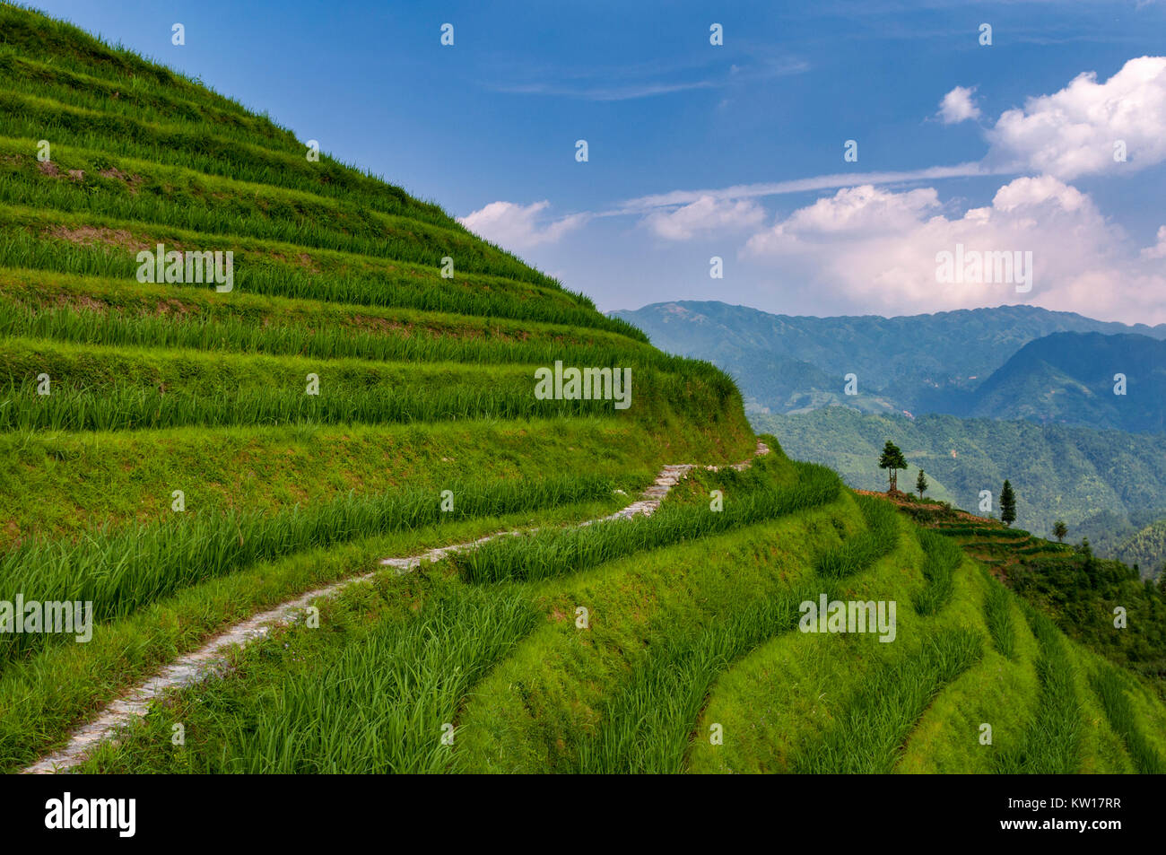 Schöne Aussicht Longsheng Reis Terrassen in der Nähe der Der dazhai Village in der Provinz Guangxi, China; Konzept für Reisen in China. Stockfoto