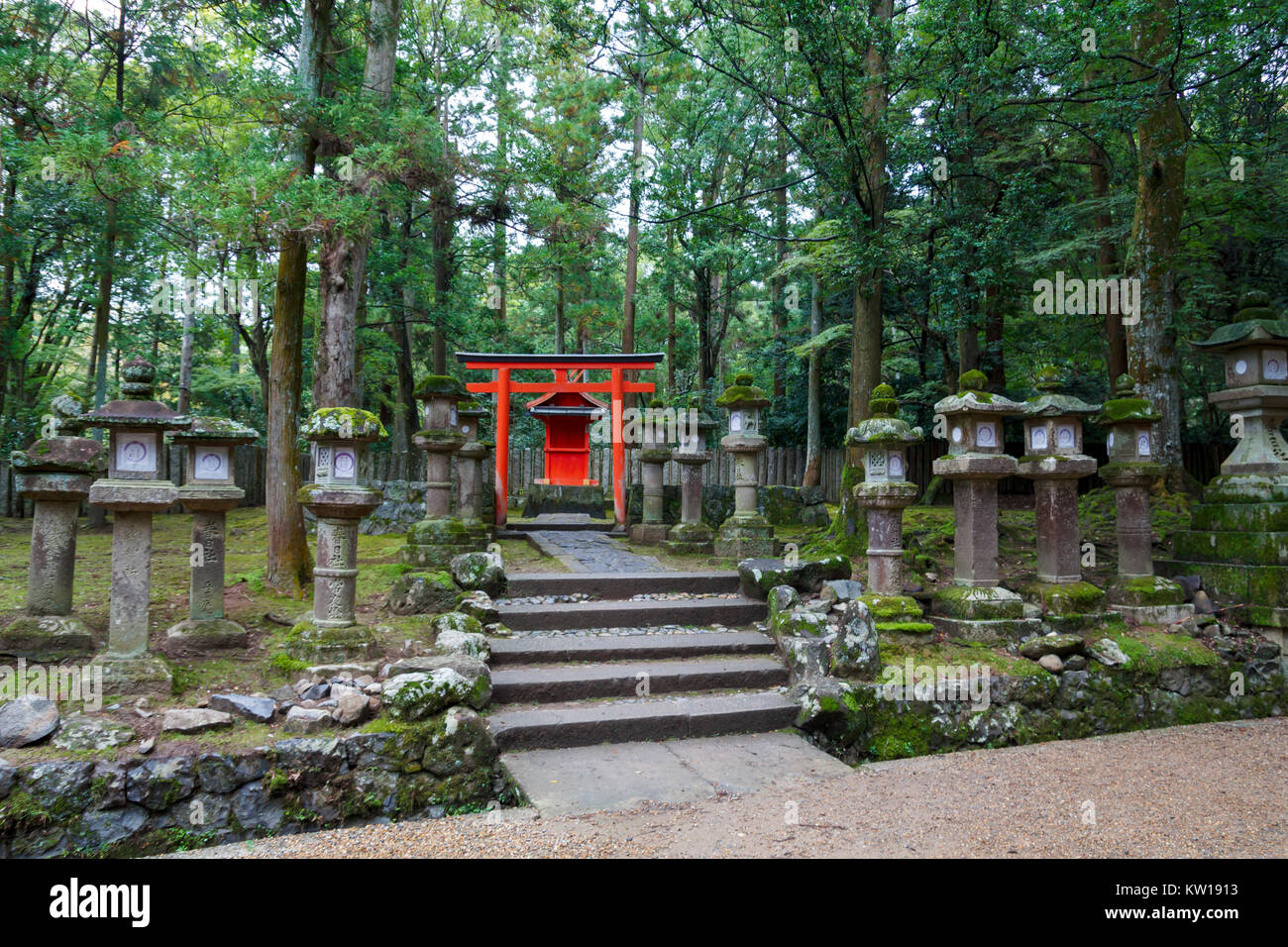 Rote torii Tor und Steinlaternen in Kasuga Taisha Shrine in Nara, Japan Stockfoto