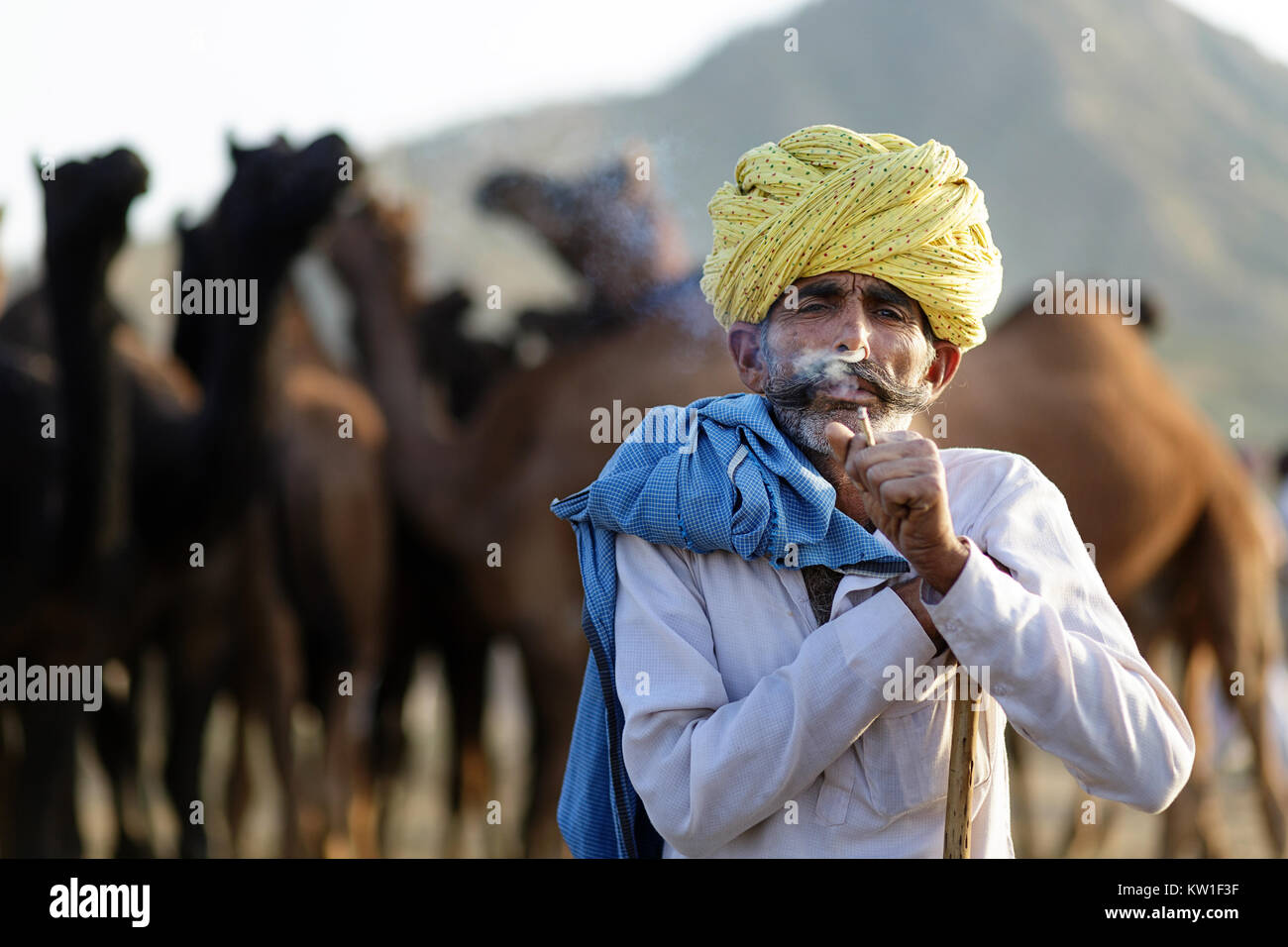 Ein Kamel Händler mit seiner Herde während der jährlichen Pushkar Camel Fair, Pushkar, Rajasthan, Indien Stockfoto