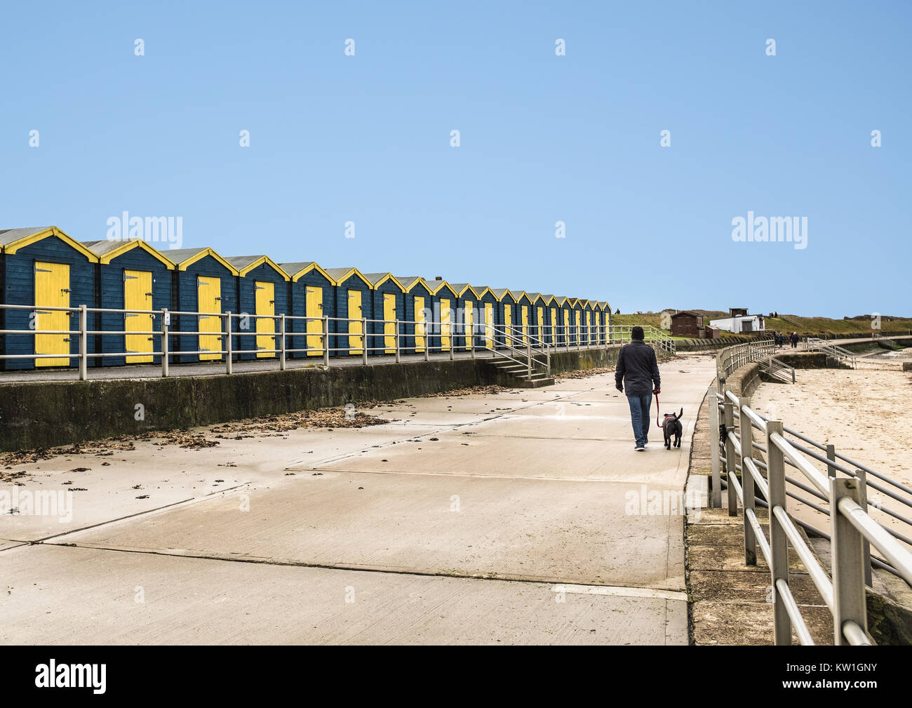 Eine Reihe von Holz- Blau und Gelb Holzhütten am Minnis Bay, Thanet, Kent Großbritannien auf einer Promenade in der Nähe eines sany Strand. Ein Mann seinen Hund an der Leine. Stockfoto