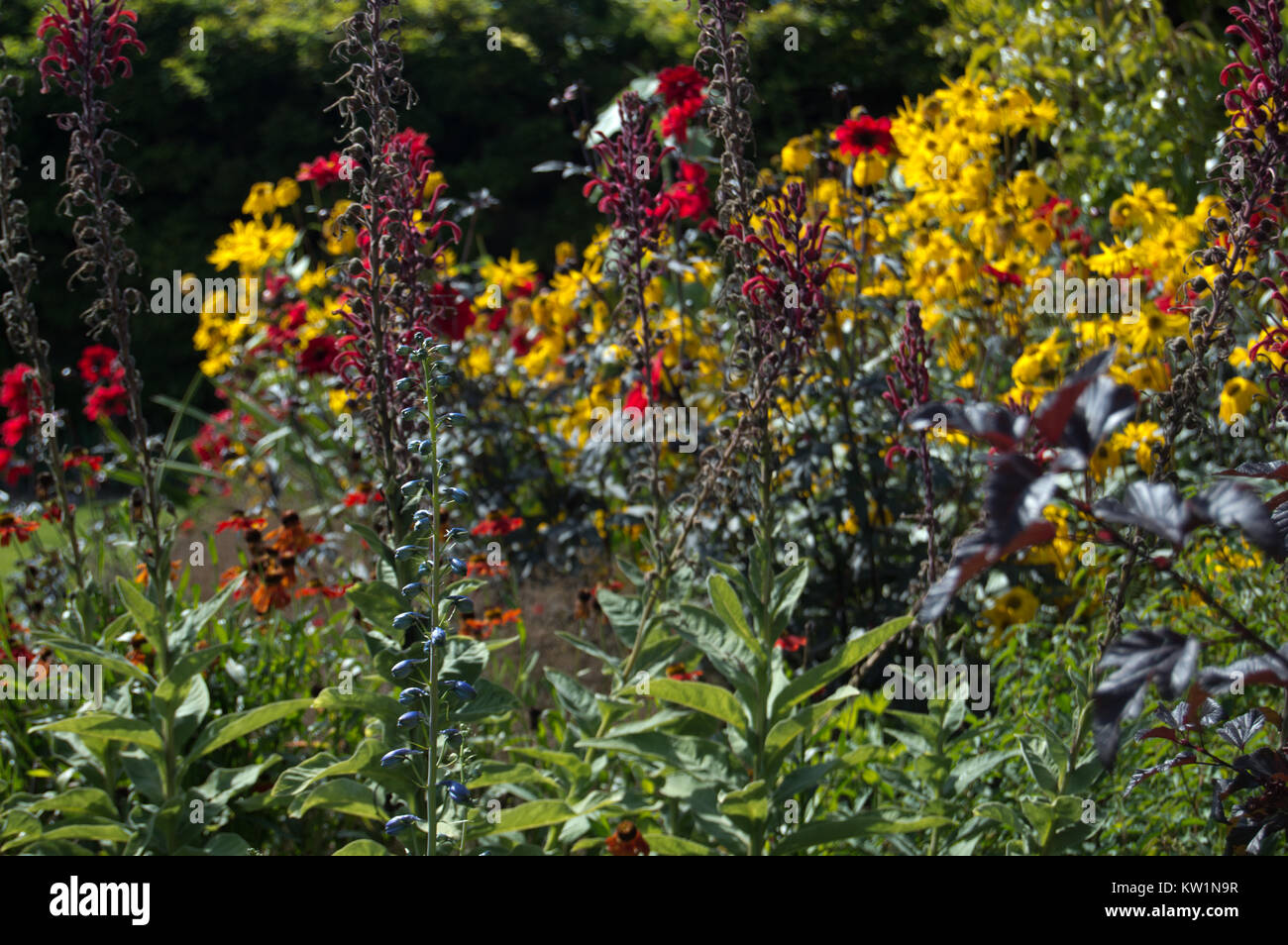 Schönen Sommergarten in Loseley Park, Guildford, Surrey Stockfoto