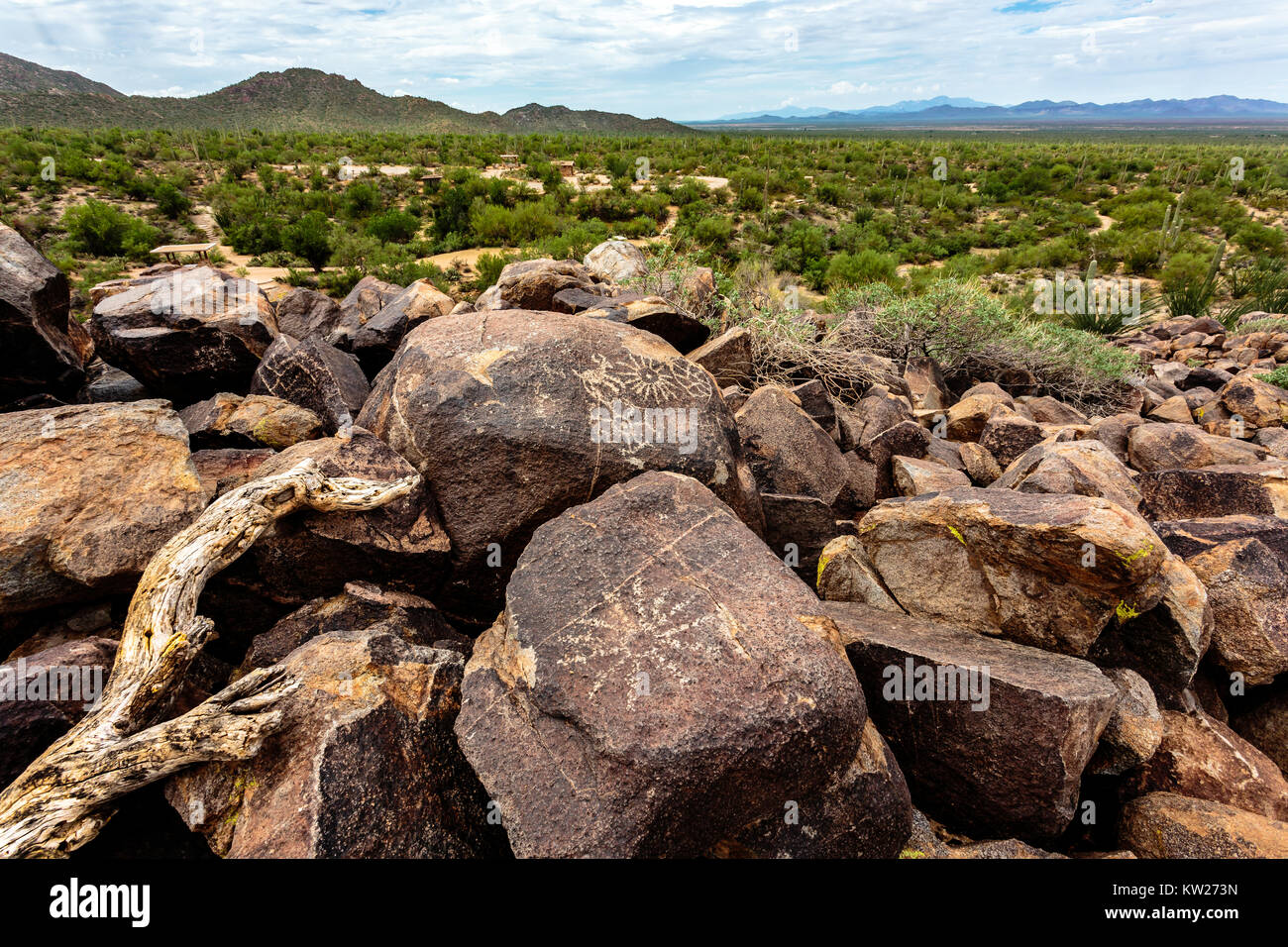 Alte gebürtige Felszeichnungen der Wüste Lack auf den Felsen des Signal Hill in Saguaro National Park West in der Nähe von Tucson, AZ schmücken. Stockfoto