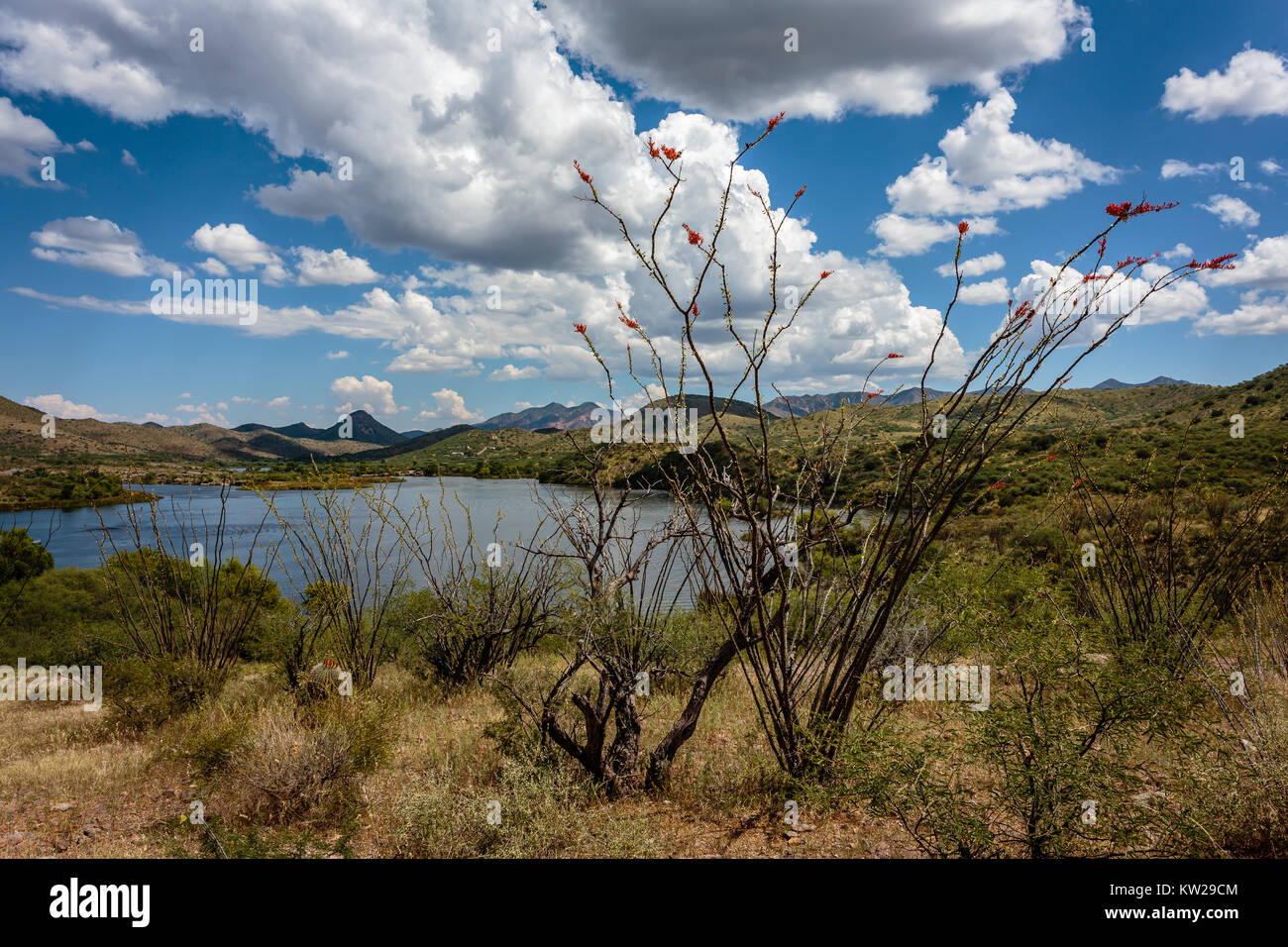 Anzeigen von Patagonien See in der Nähe des Dam mit dem roten Patagonien Berge in der Ferne. Südliches Arizona in der Nähe von Patagonien. Stockfoto