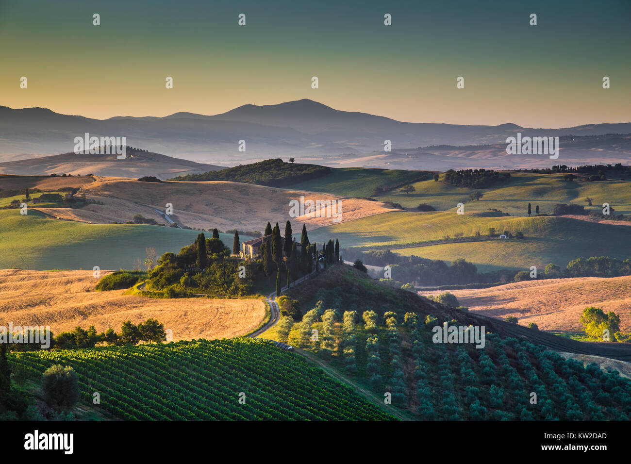 Malerische Toskana-Landschaft mit sanften Hügeln und Tälern im goldenen Morgenlicht, Val d ' Orcia, Italien Stockfoto