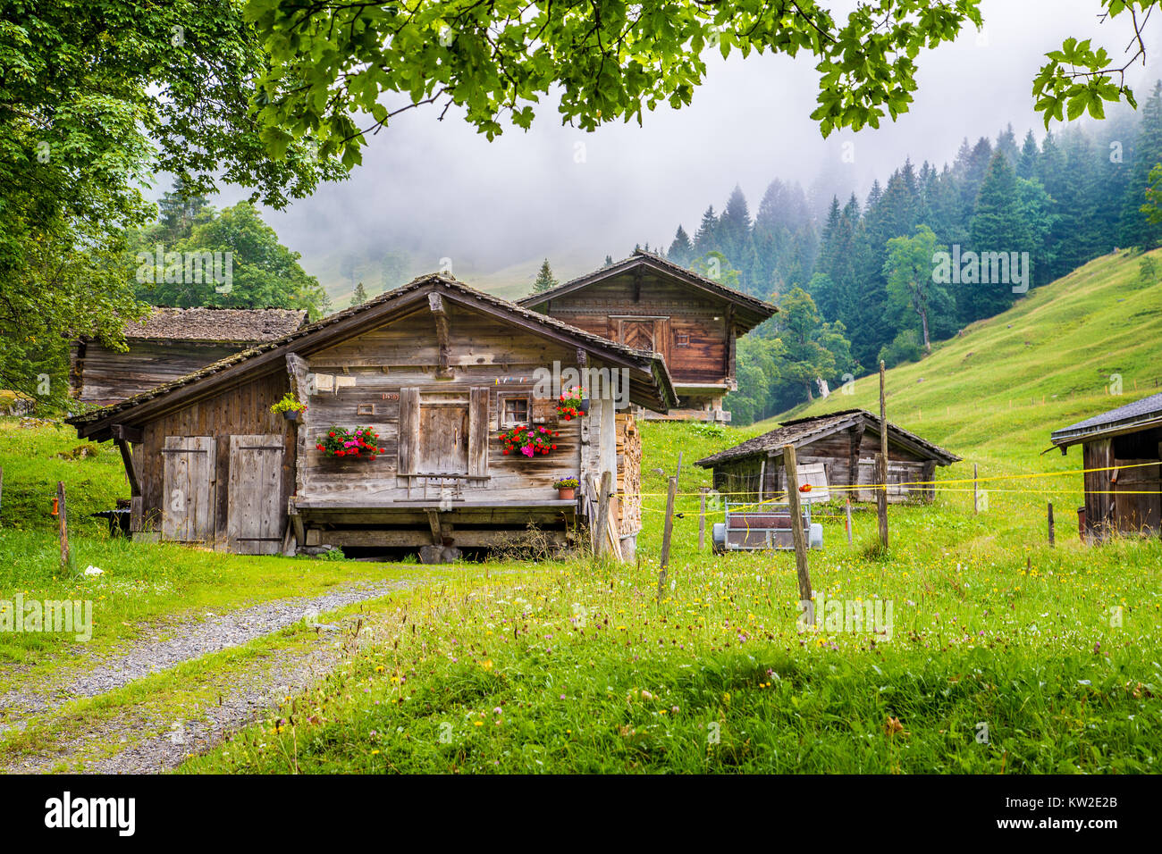 Malerische Aussicht auf traditionellen alten hölzernen Chalets in den Alpen mit frischen grünen Berg Wiesen, Bäume und mystische Nebel an einem bewölkten Tag im Sommer Stockfoto