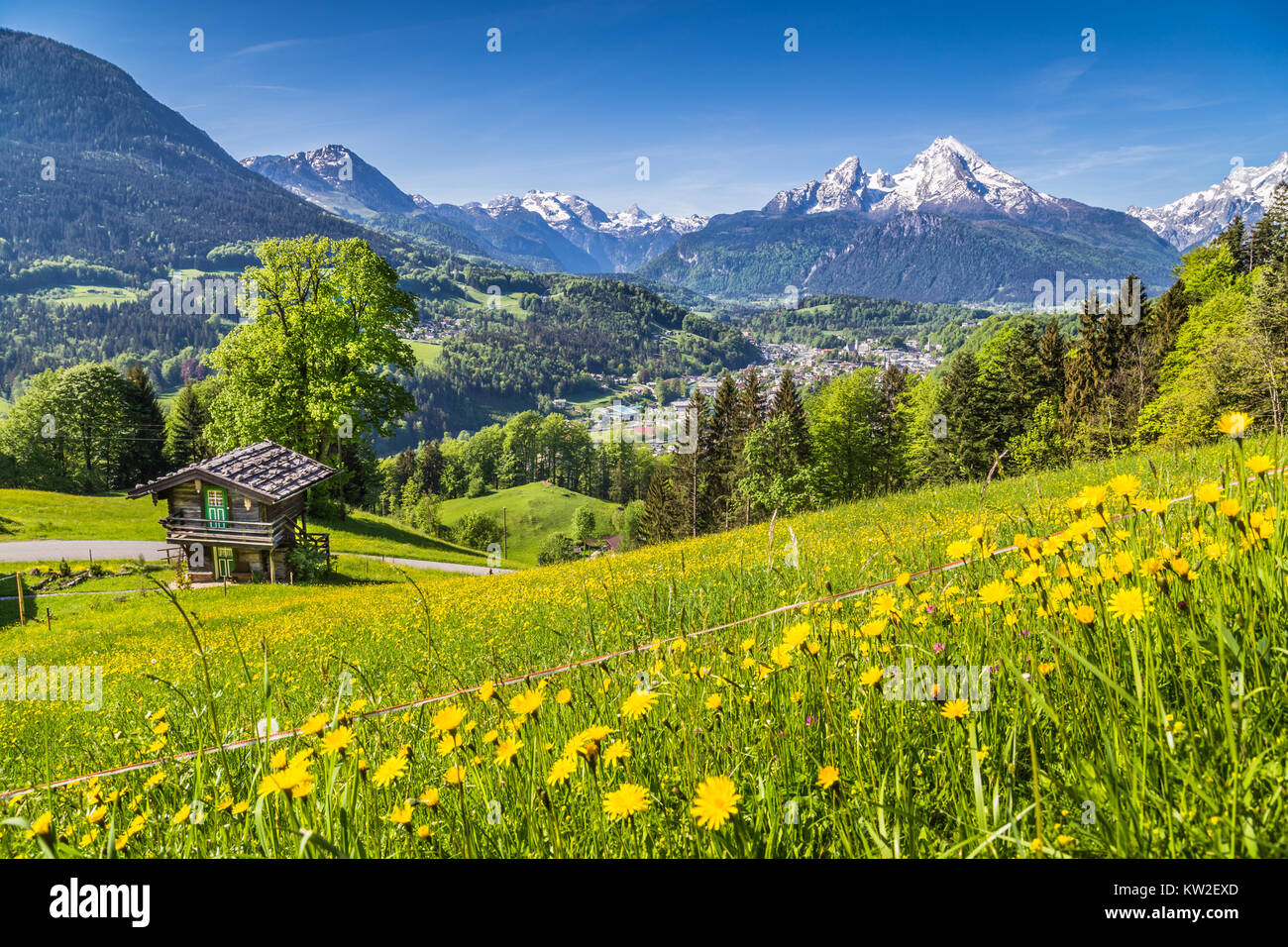 Panoramablick auf den idyllischen Berglandschaft der Alpen mit frischen grünen Almen mit Blumen und alten traditionellen Mountain Lodge in springt Stockfoto