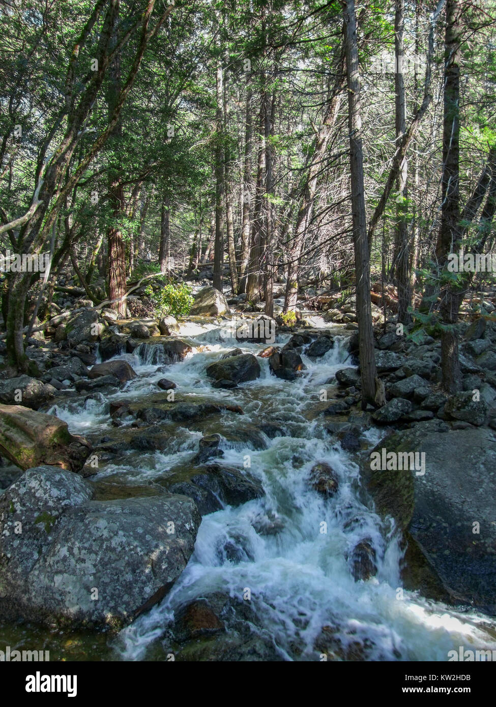 Natürliche Landschaft mit kleinen Fluss an der Yosemite Nationalpark in Kalifornien, USA Stockfoto