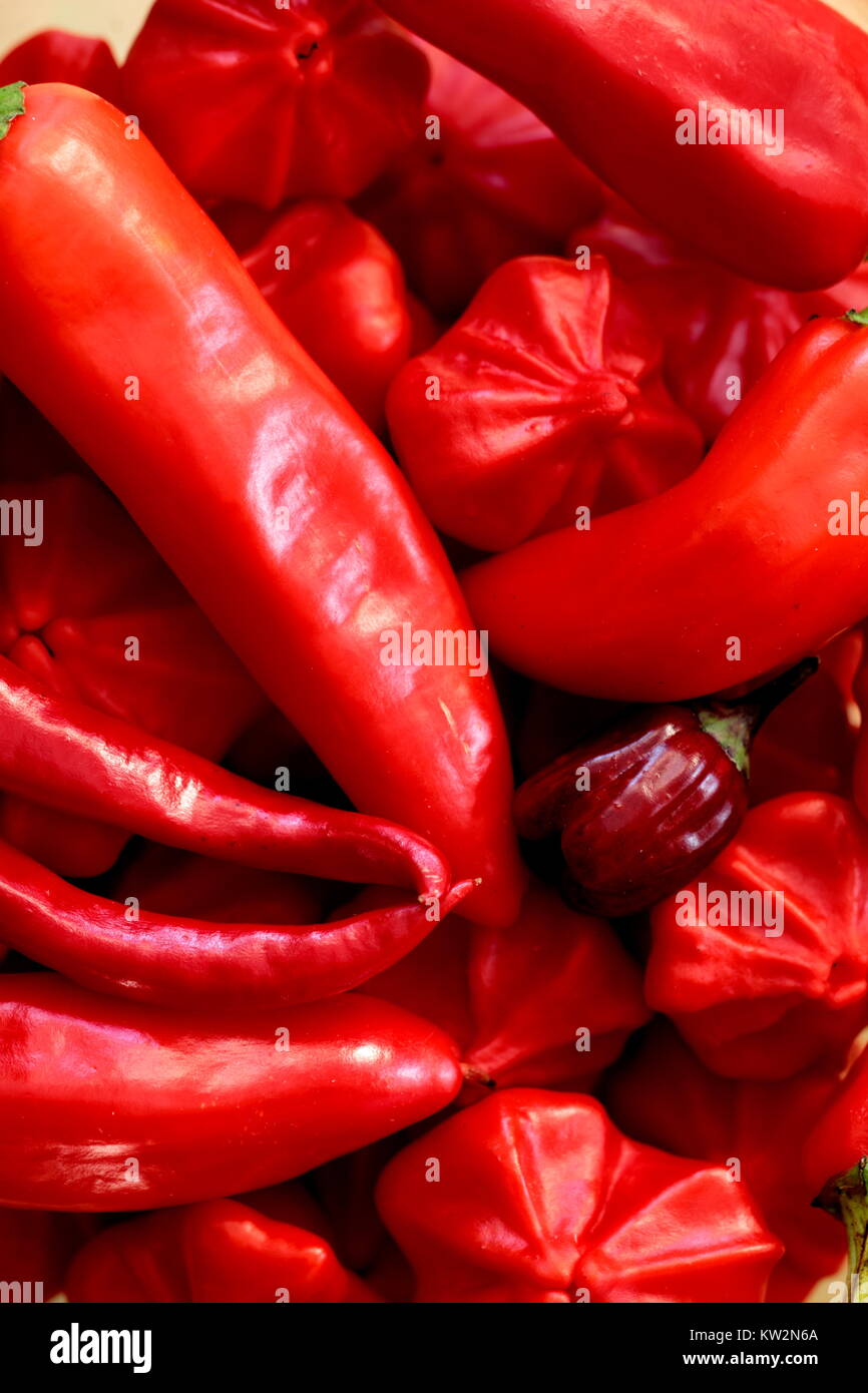 Chili Peppers Stockfoto