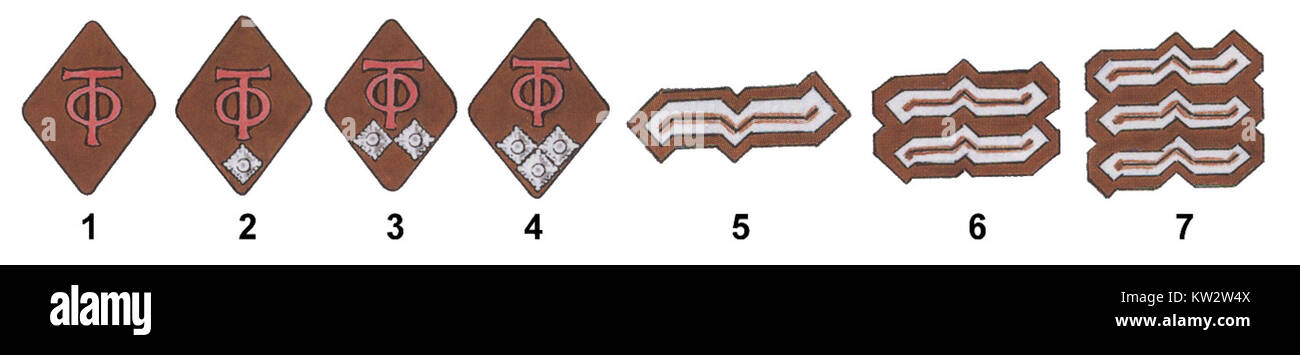 Der 1943 eingeführte Kragenspiegel war Teil der Uniform der NSDAP während des Zweiten Weltkriegs. Er war ein charakteristisches Insignien, das oft vom nationalsozialistischen Kraftfahrzeugkorps verwendet wurde. Stockfoto