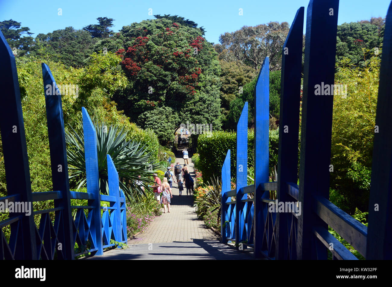 Die Blauen hölzerne Brücke in der Nähe der Einfahrt zum Abbey Gardens, Tresco Insel, Isles of Scilly, Cornwall, Großbritannien Stockfoto