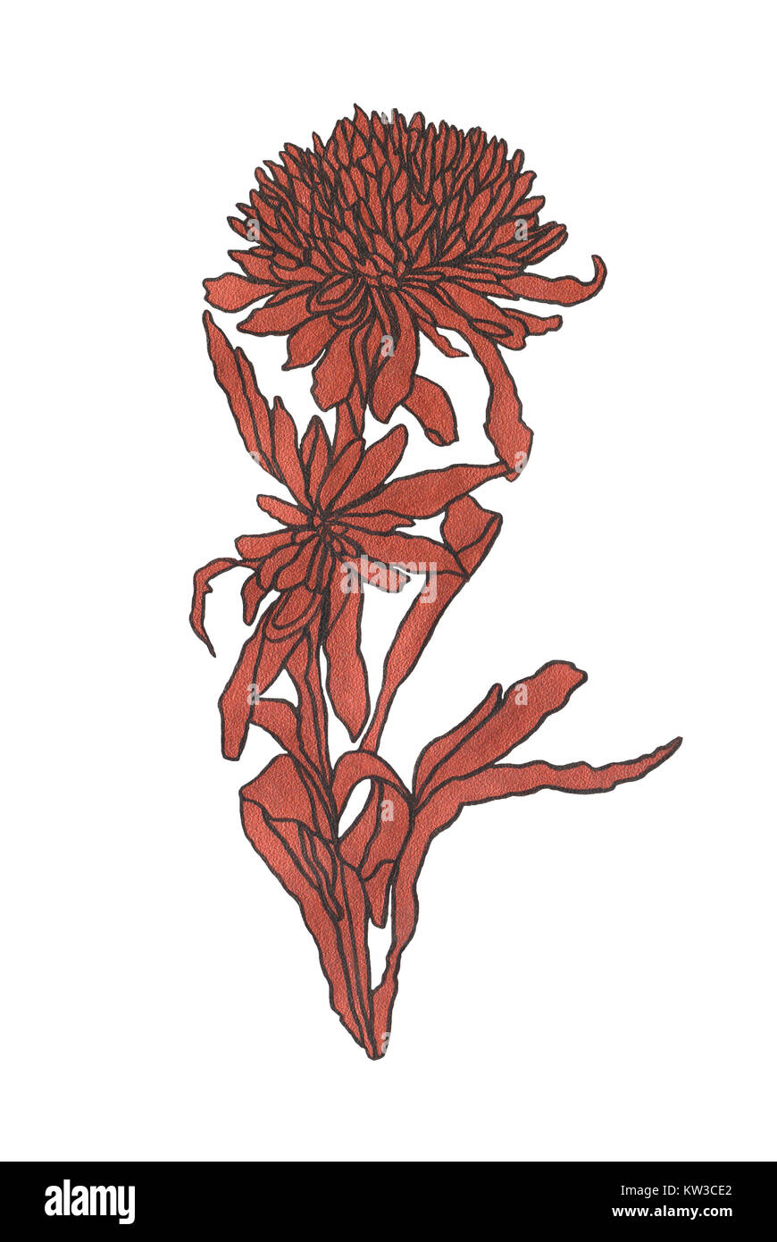 Kontur Abbildung Blume in der Vase mit Blättern im Jugendstil Stockfoto