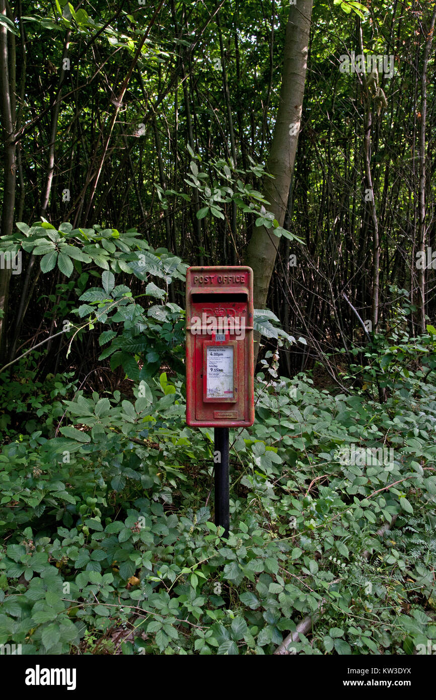Ländliche Post Box in Flechten bedeckt und von Vegetation, Kent, England umgeben. Stockfoto
