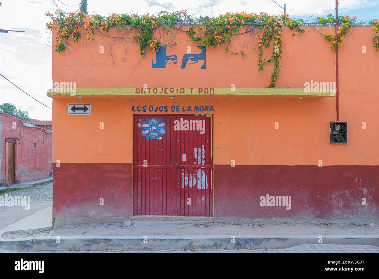 Eine bunte Store Front auf eine Ecke, mit blühenden Reben, nachgestellte vom Dach, und gepflasterten Straßen, in San Miguel de Allende, Mexiko Stockfoto
