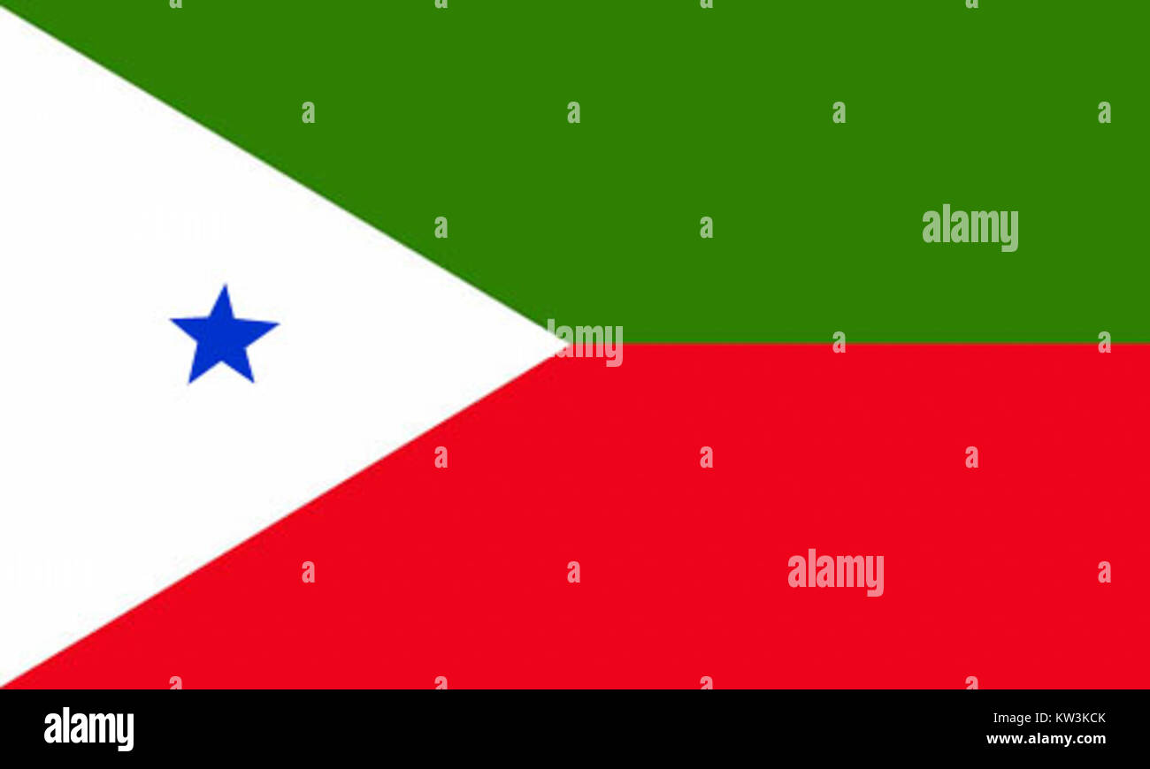 Die PFI-Flagge stellt das Emblem einer politischen oder organisatorischen Bewegung dar. Es bedarf eines weiteren Kontextes, um seine spezifische Zugehörigkeit und Bedeutung zu bestimmen. Stockfoto