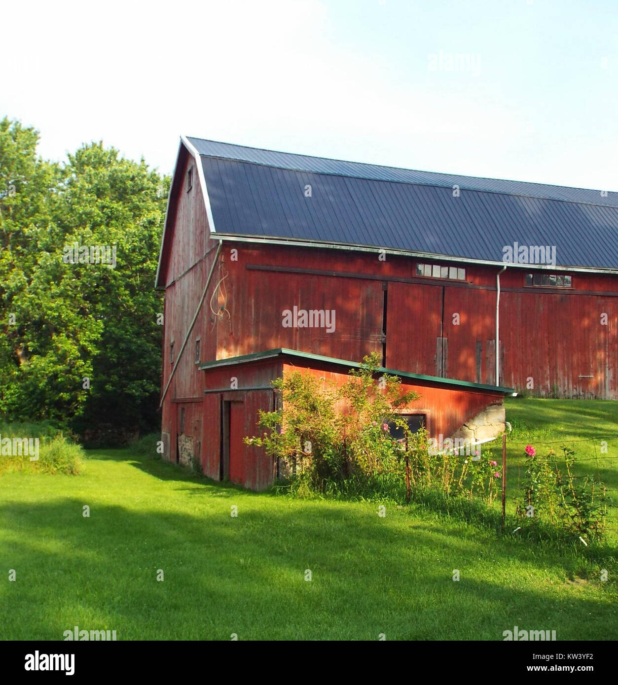 Dieses Foto einer alten Scheune hebt das schwarze Metalldach hervor, das zur Erhaltung der Struktur beiträgt. Das Dach bietet Haltbarkeit und Schutz und stellt sicher, dass die Scheune über die Zeit funktionsfähig und intakt bleibt. Stockfoto