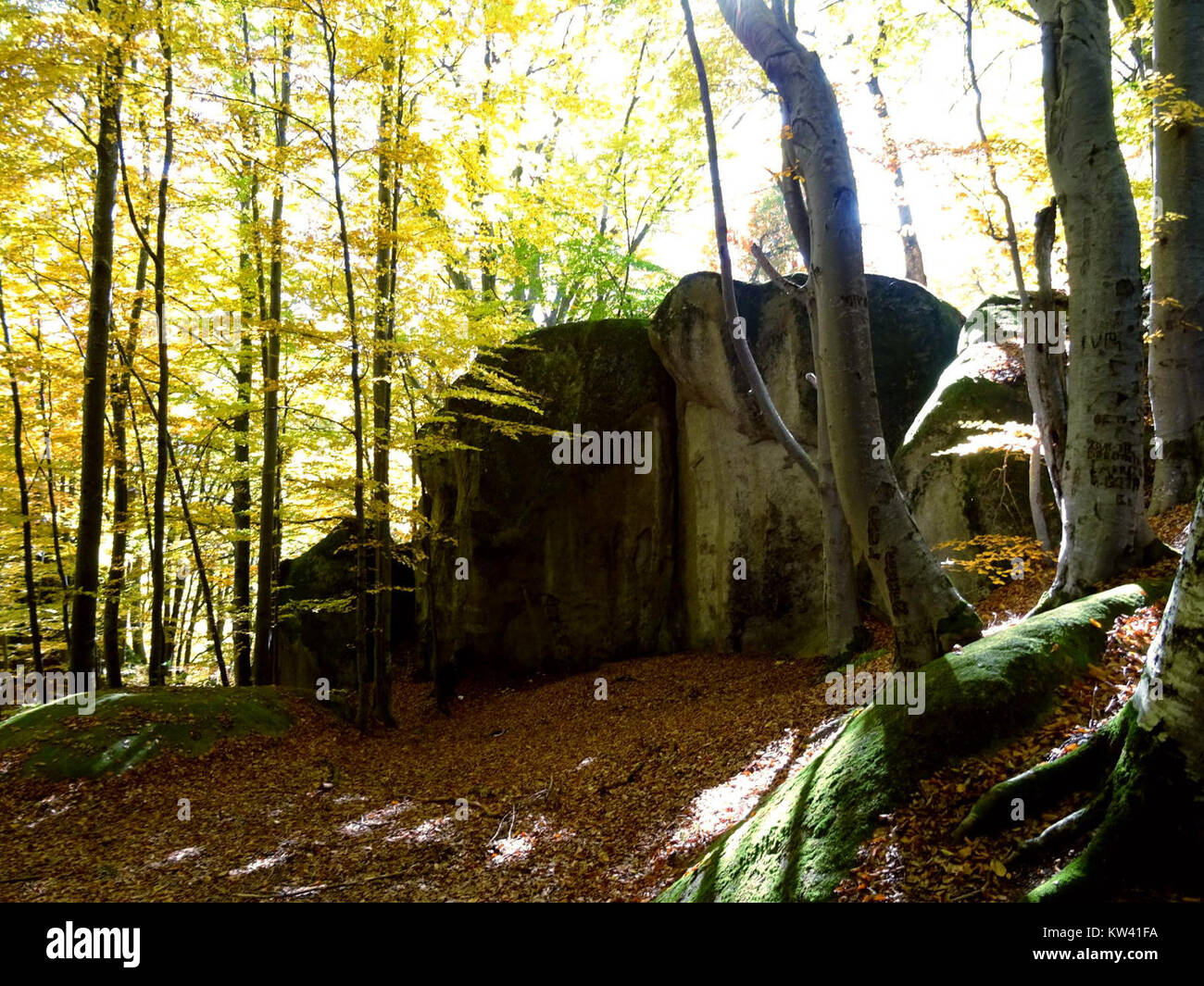 BisPagAutumn00 bezieht sich auf eine visuelle oder künstlerische Darstellung im Zusammenhang mit dem Herbst. Wahrscheinlich zeigt es saisonale Themen und fängt das Wesen des Herbstes durch Farben, Texturen und naturbasierte Bilder ein und feiert den Wechsel der Jahreszeiten und die Schönheit der Umwelt. Stockfoto