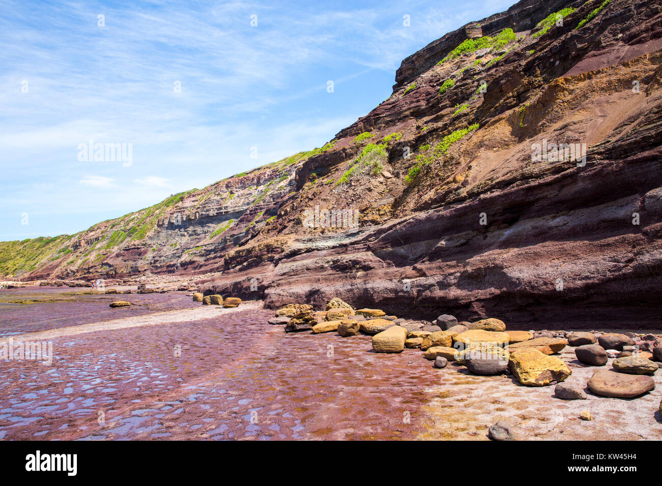 Long Reef Beach und aquatische buchen Northern Beaches von Sydney, Australien Stockfoto