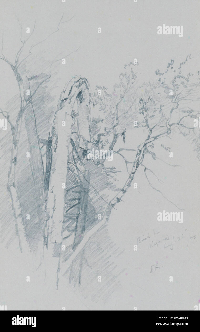 Dieses Gemälde einer Birke, das im Metropolitan Museum of Art untergebracht ist, fängt die natürliche Schönheit des Baumes in einem ruhigen und realistischen Stil ein. Das Werk spiegelt die Liebe des Künstlers zum Detail und die Wertschätzung für die Natur wider. Stockfoto